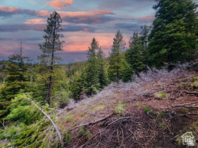 36 SKY HAVEN MOUNTAIN RETREAT Unit: 36