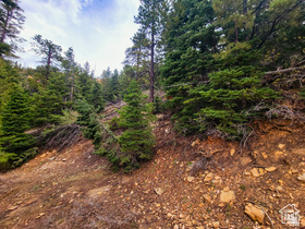 36 SKY HAVEN MOUNTAIN RETREAT Unit: 36