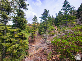 36 SKY HAVEN MOUNTAIN RETREAT Unit: 36