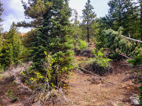 36 SKY HAVEN MOUNTAIN RETREAT Unit: 36