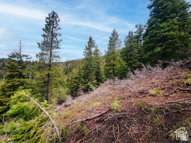 36 SKY HAVEN MOUNTAIN RETREAT Unit: 36