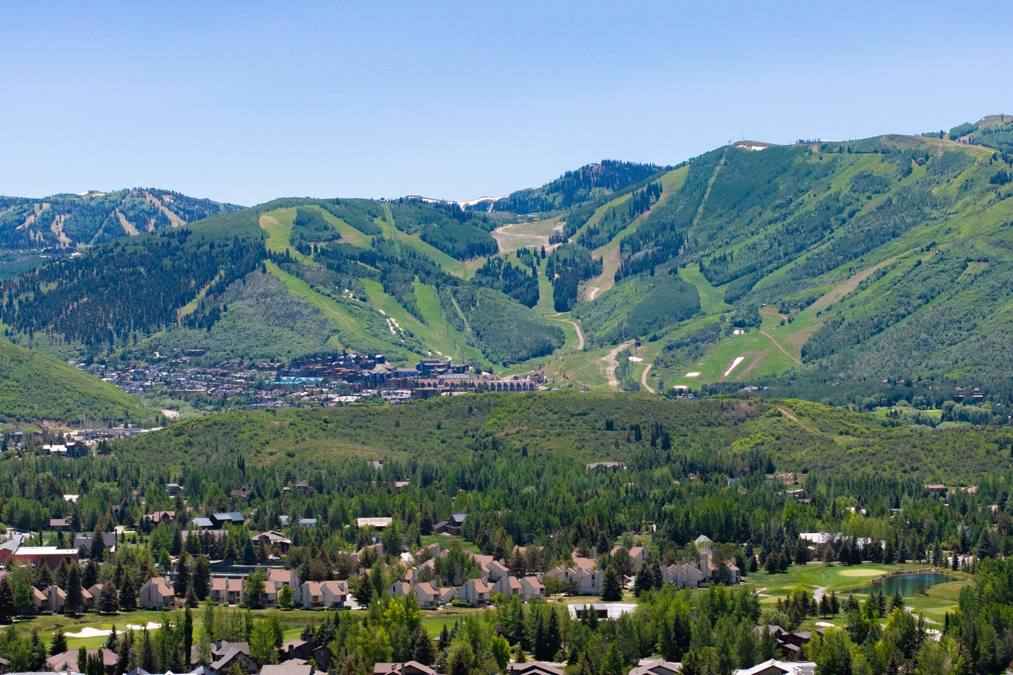 2808 AMERICAN SADDLER DR