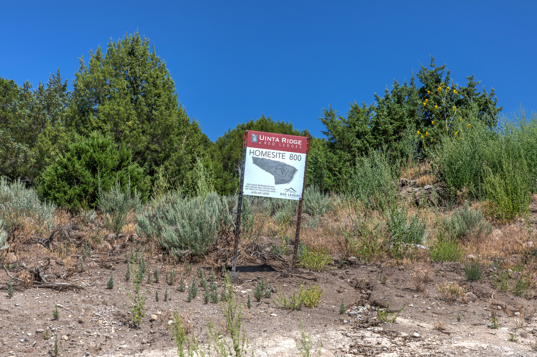 3023 E RED KNOB WAY Unit: 800