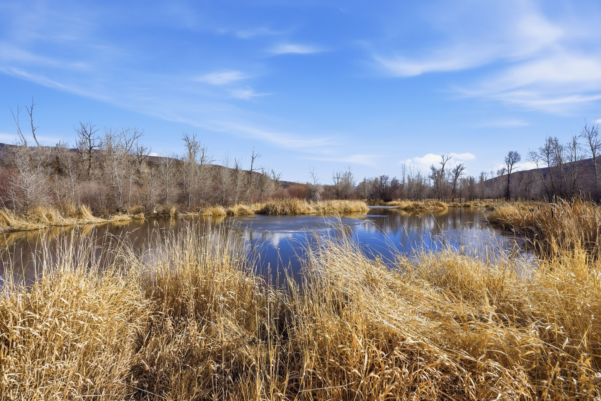 6950 N RIVER VALLEY DR