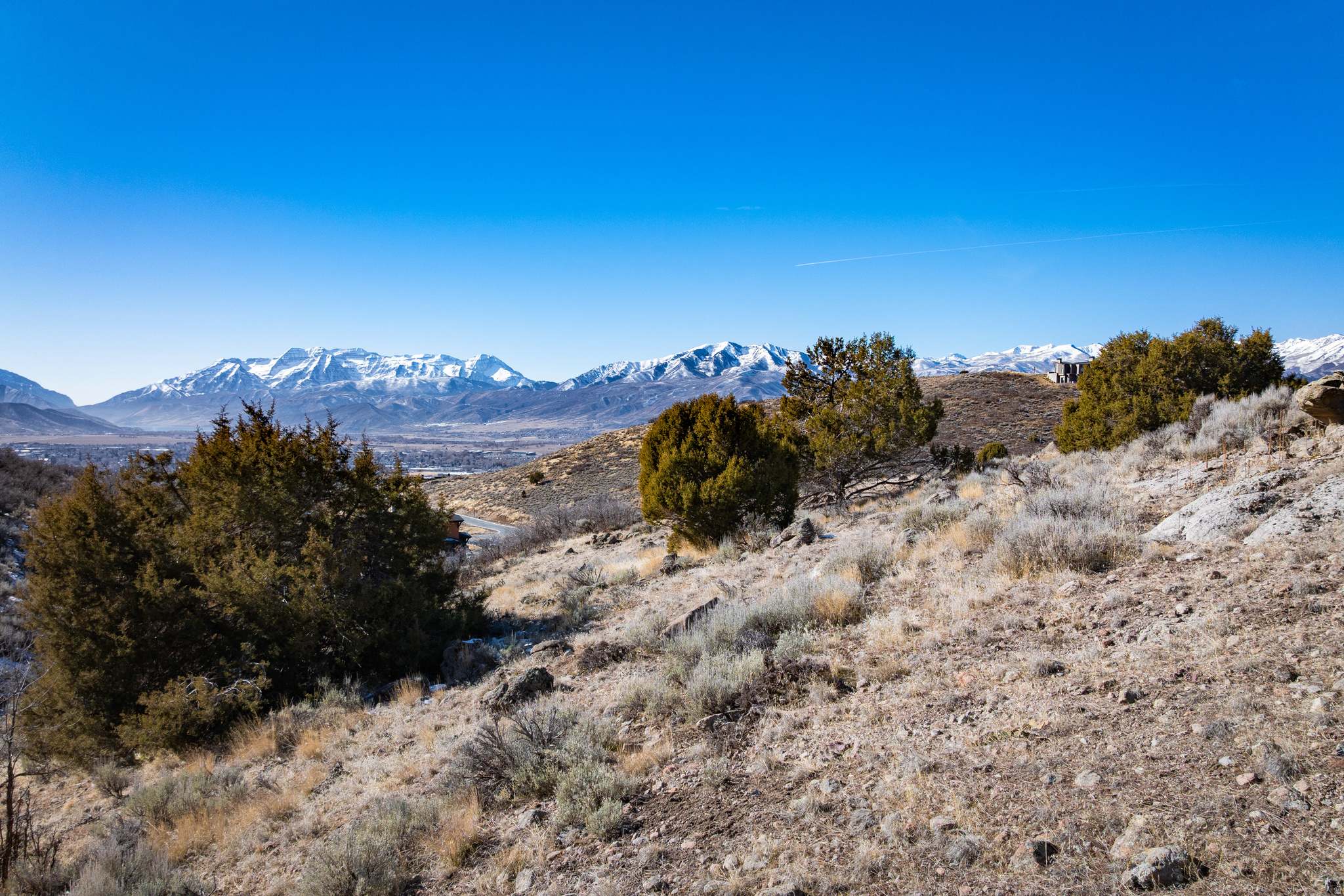 2314 E LA SAL PEAK DR Unit: 509