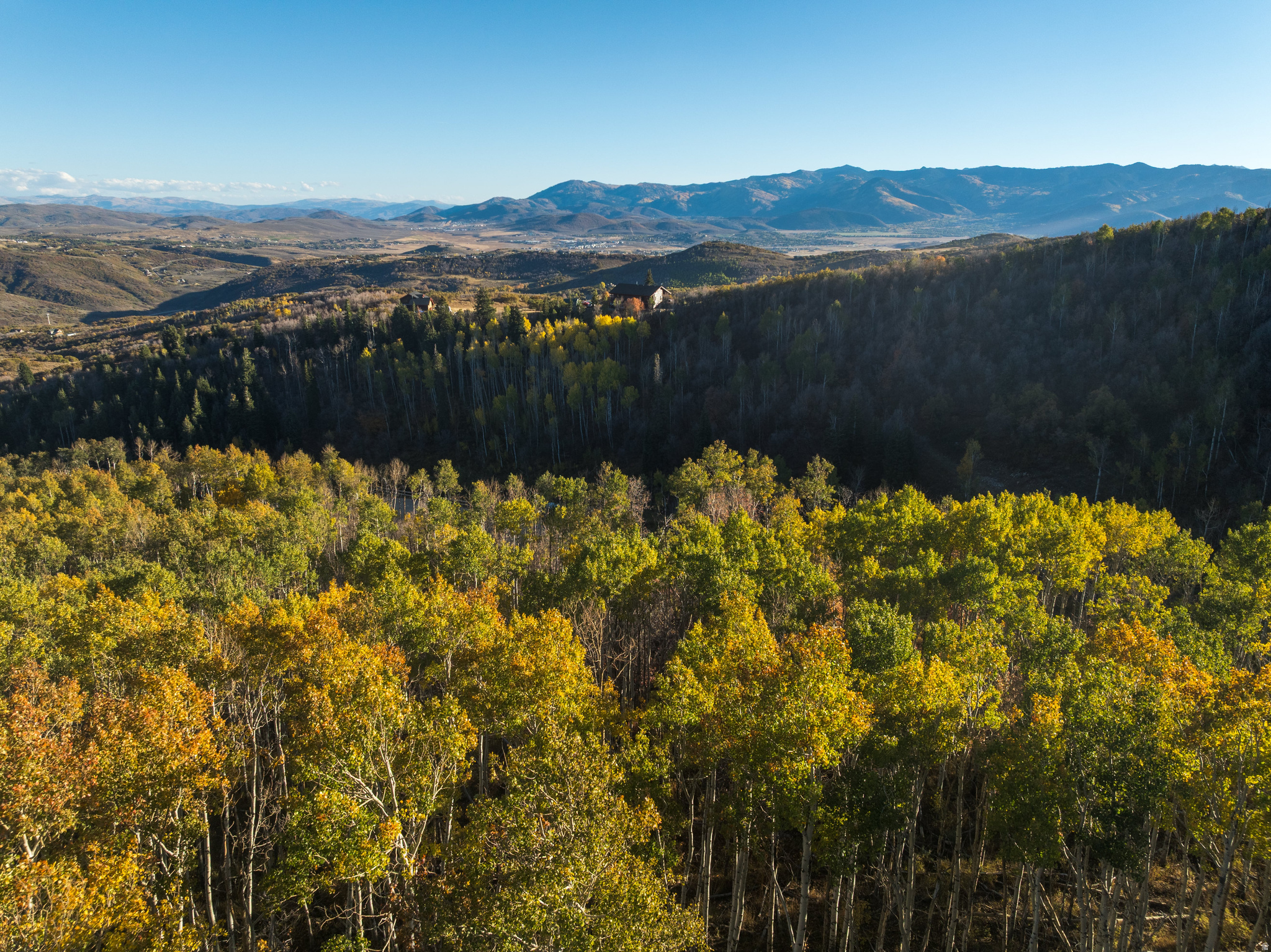 145 W FOREST MEADOW RD