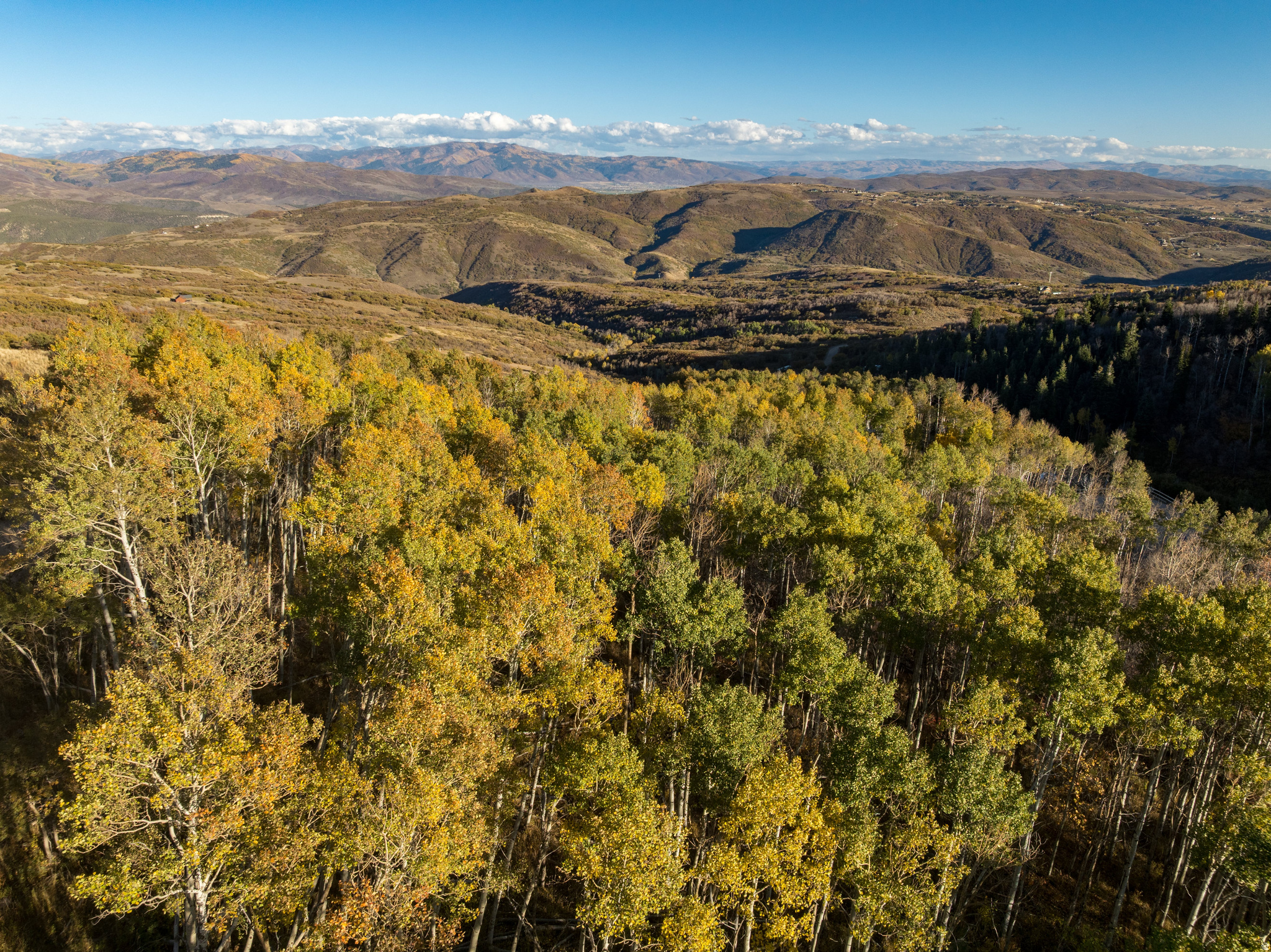 145 W FOREST MEADOW RD