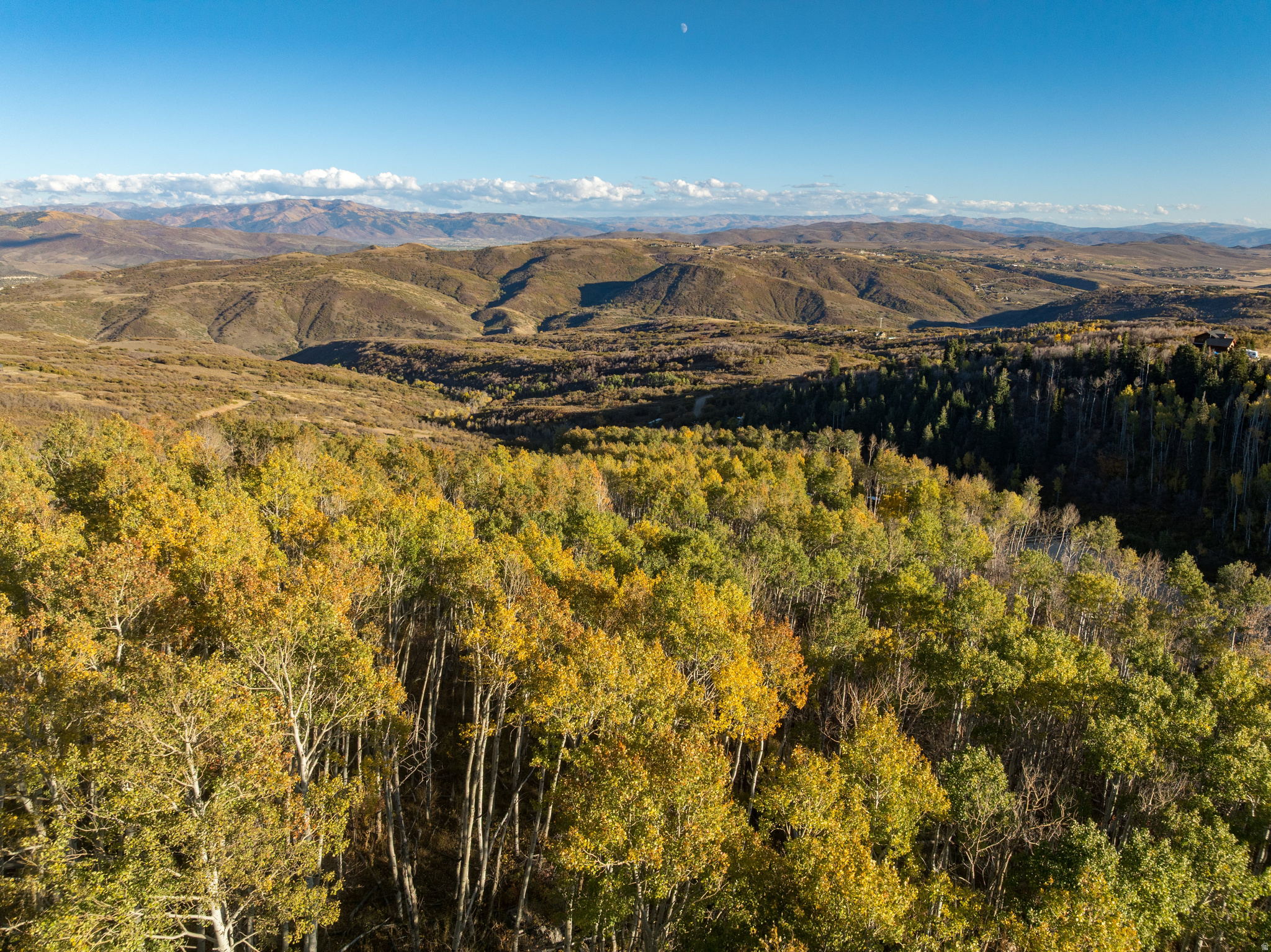 145 W FOREST MEADOW RD