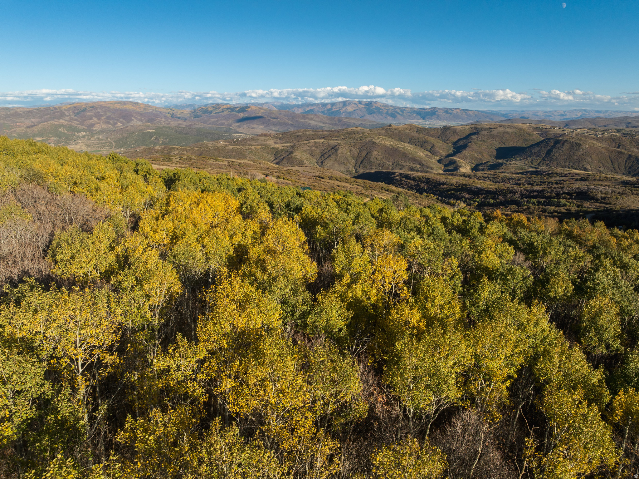 145 W FOREST MEADOW RD