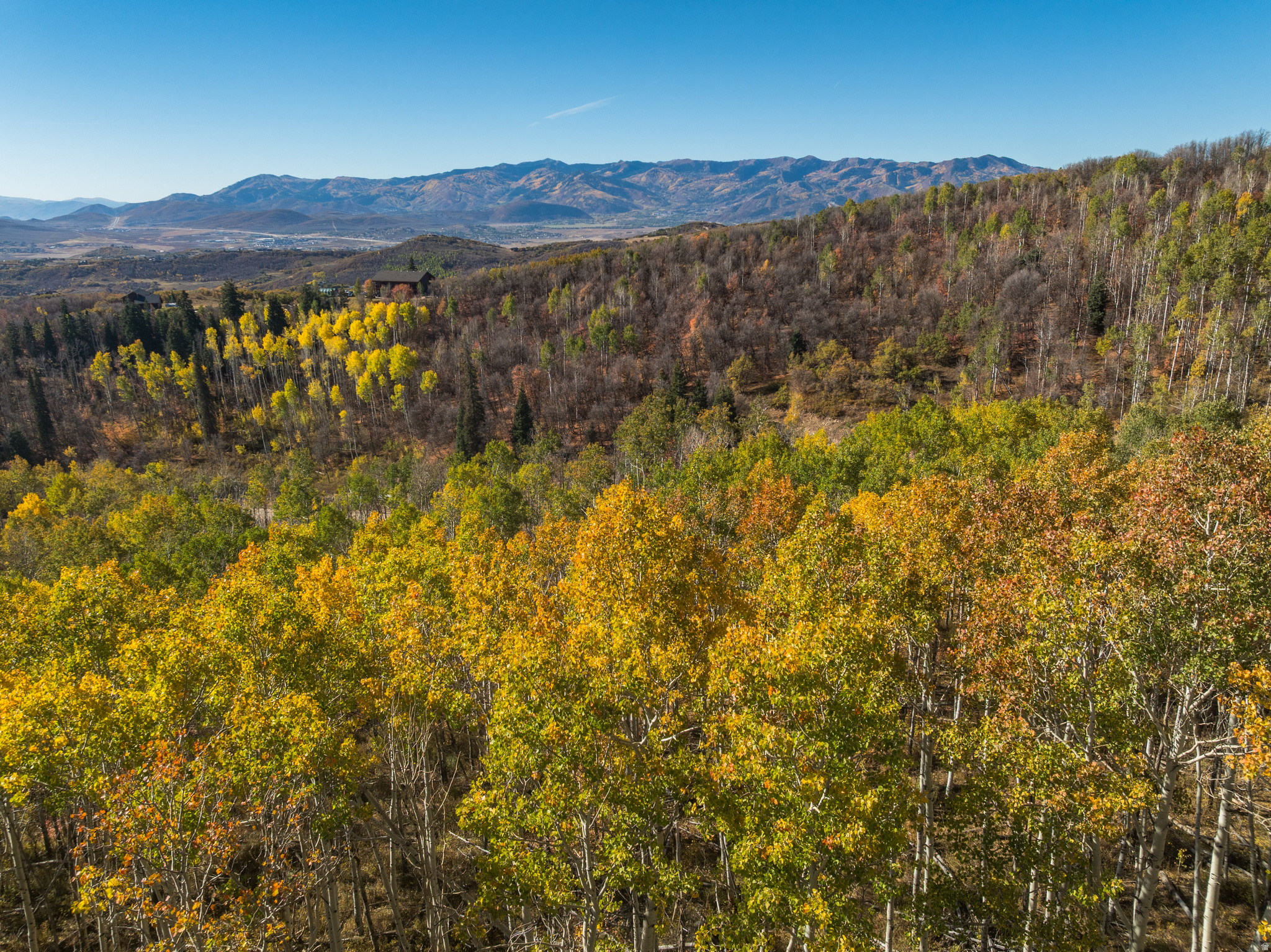 145 W FOREST MEADOW RD