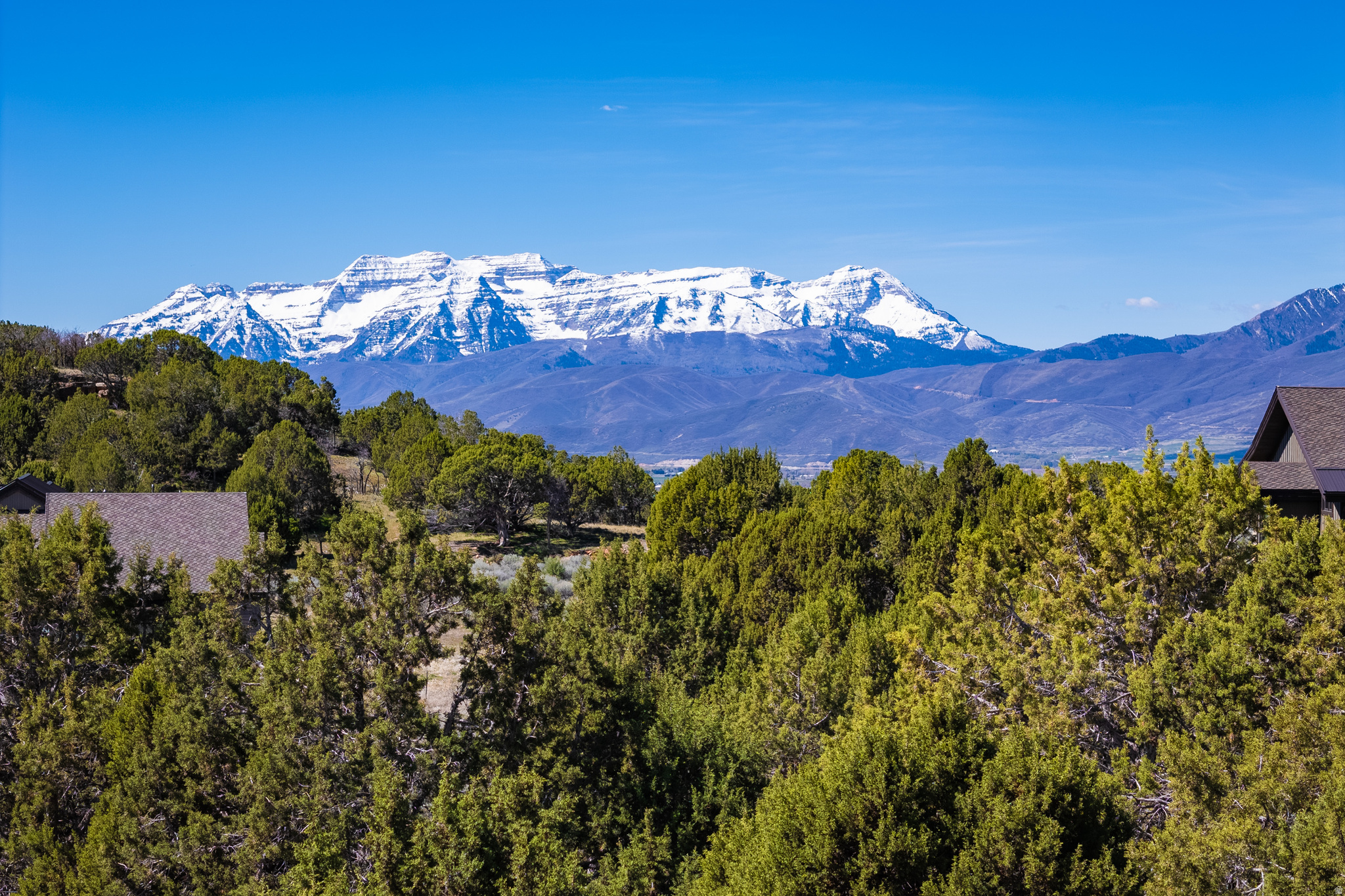 3120 N HORSE MOUNTAIN CIR Unit: 195