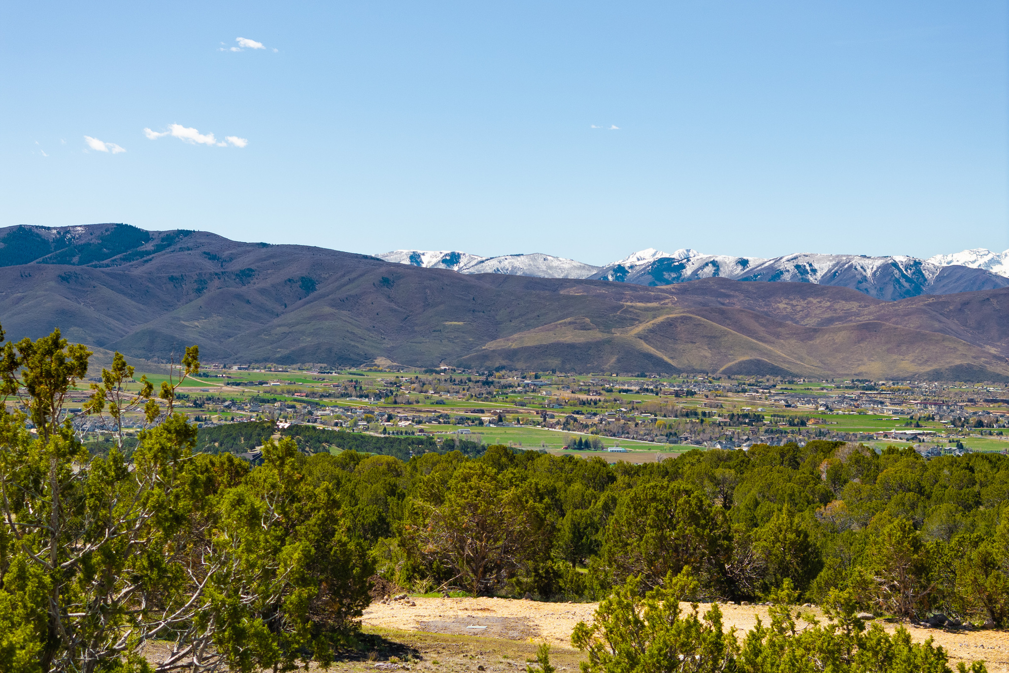 3167 E BOULDER TOP WAY Unit: 911