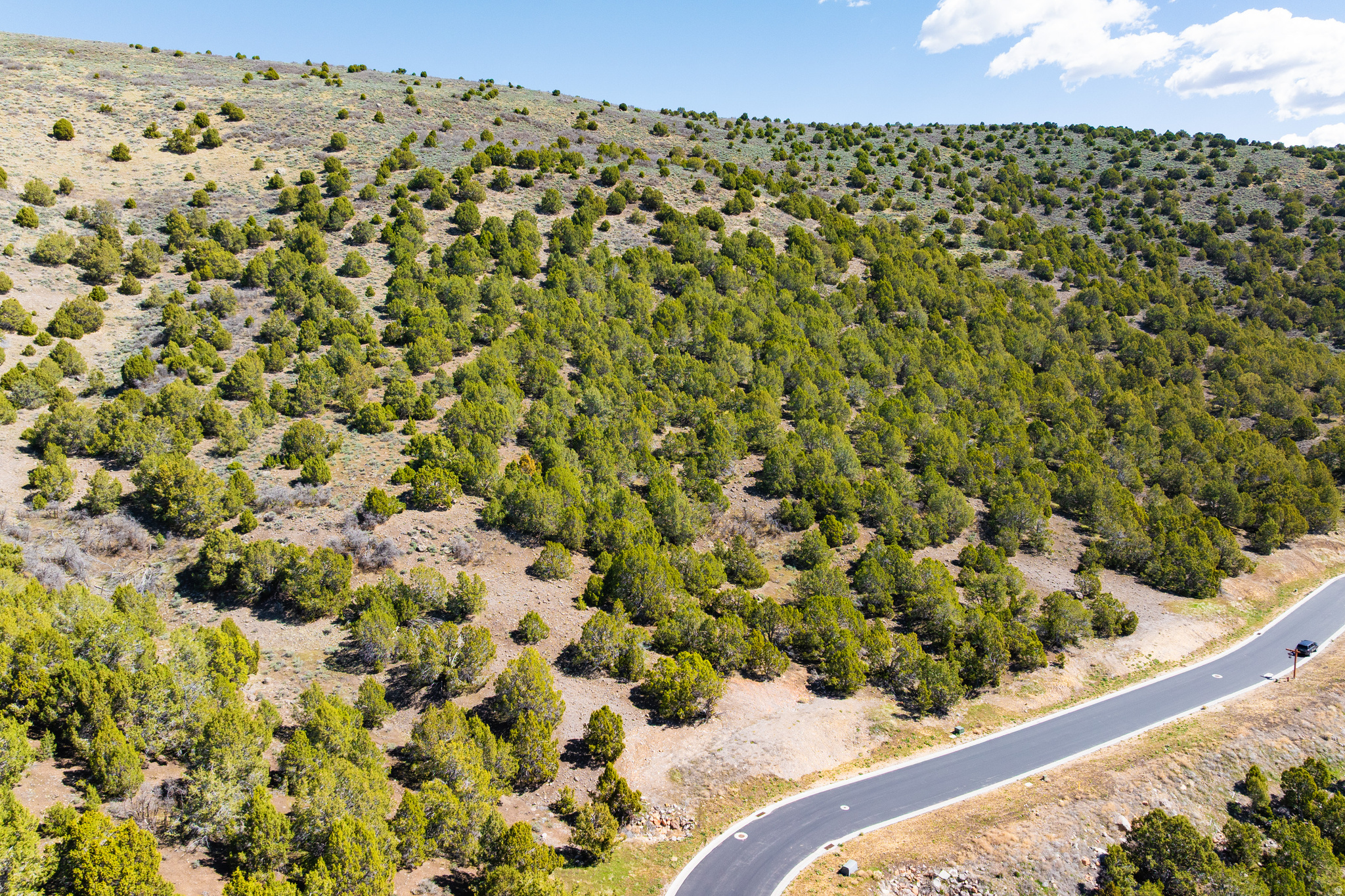 2577 E LA SAL PEAK DR Unit: 597