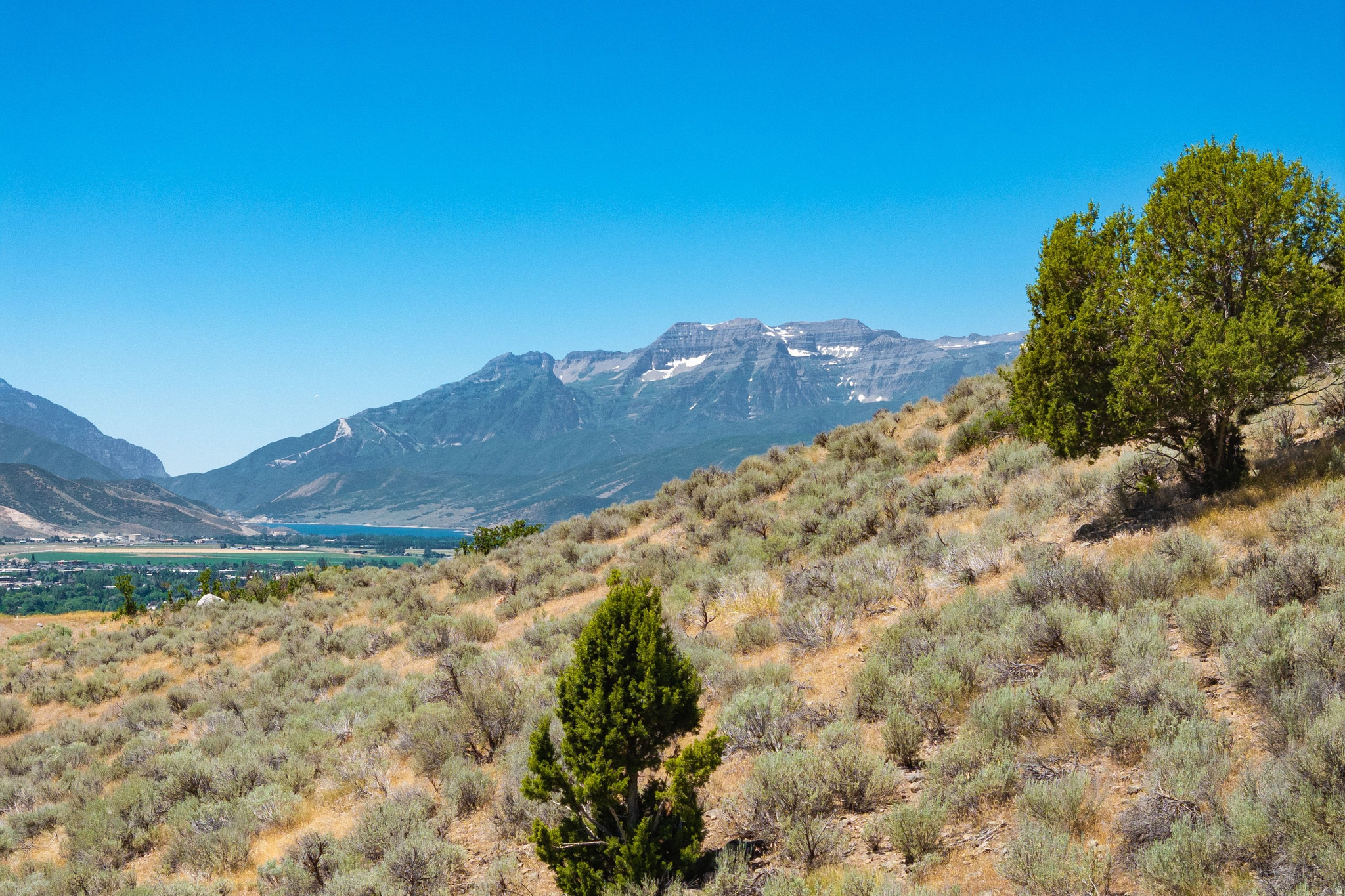 2083 E UPPER LOOKOUT CT Unit: 367