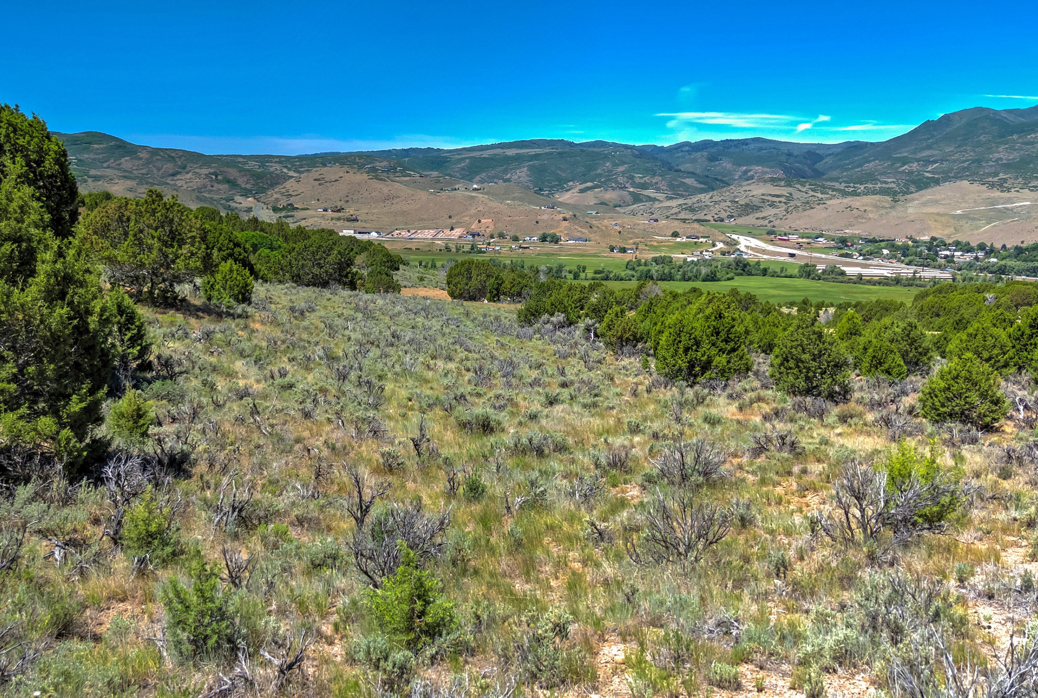 170 LEWIS VIEW WAY Unit: 1