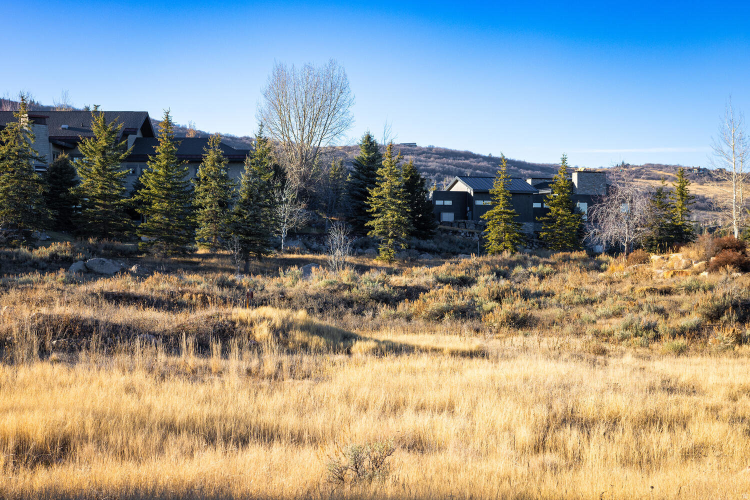 705 HOLLYHOCK ST Unit: 136