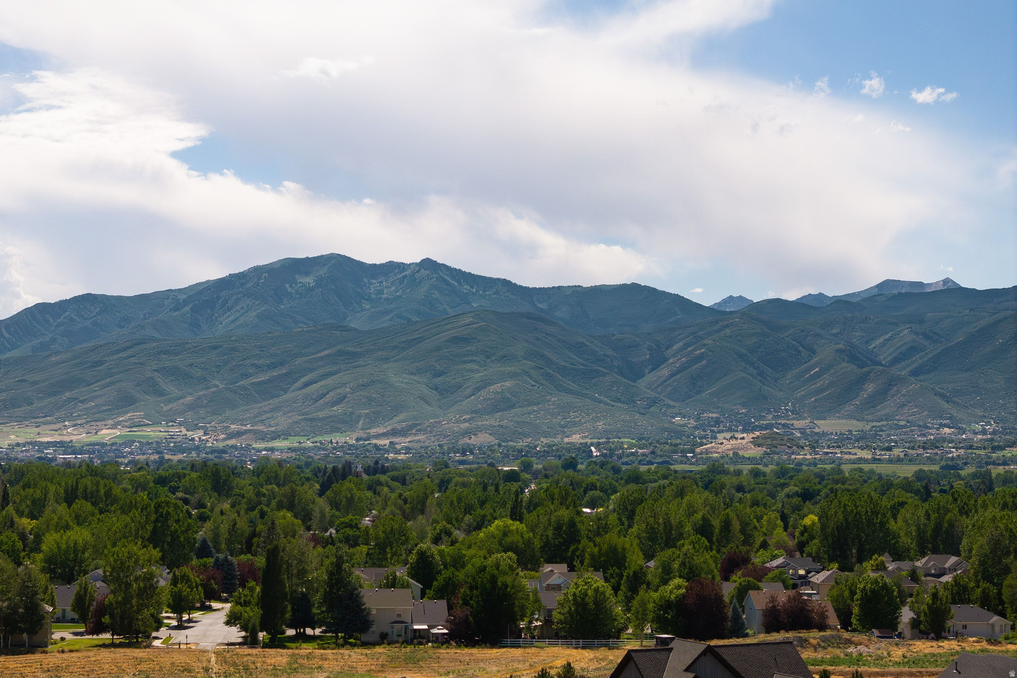 232 N ABAJO PEAK CIR #TV-1