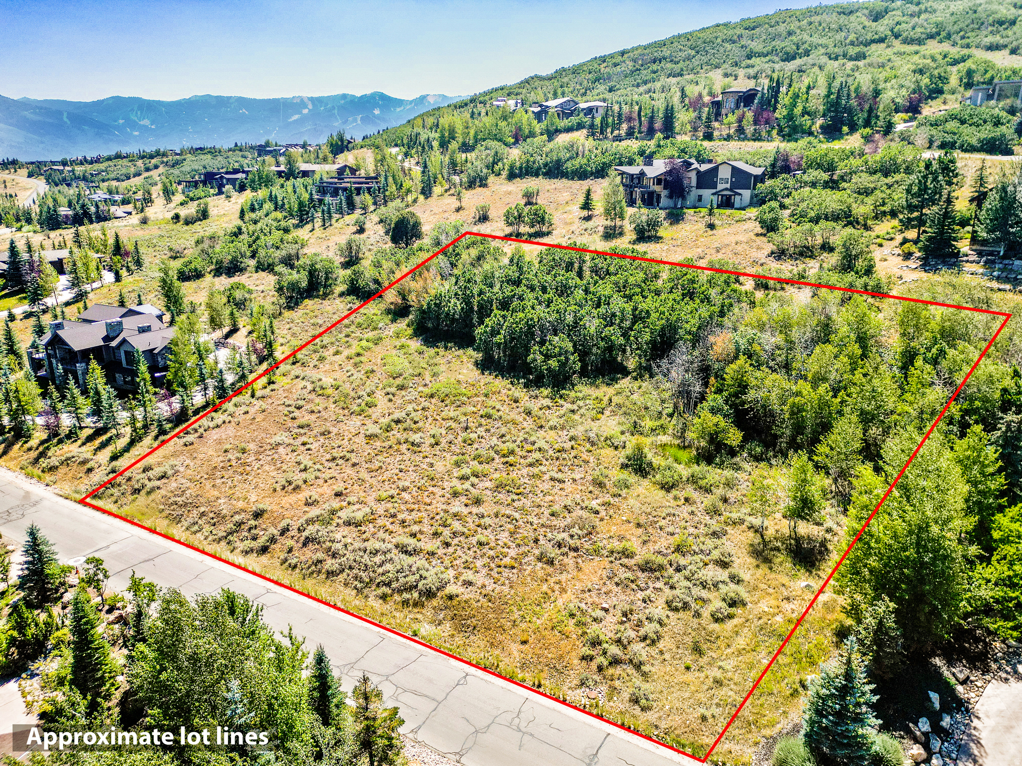 7665 GLENWILD DR Unit: 75