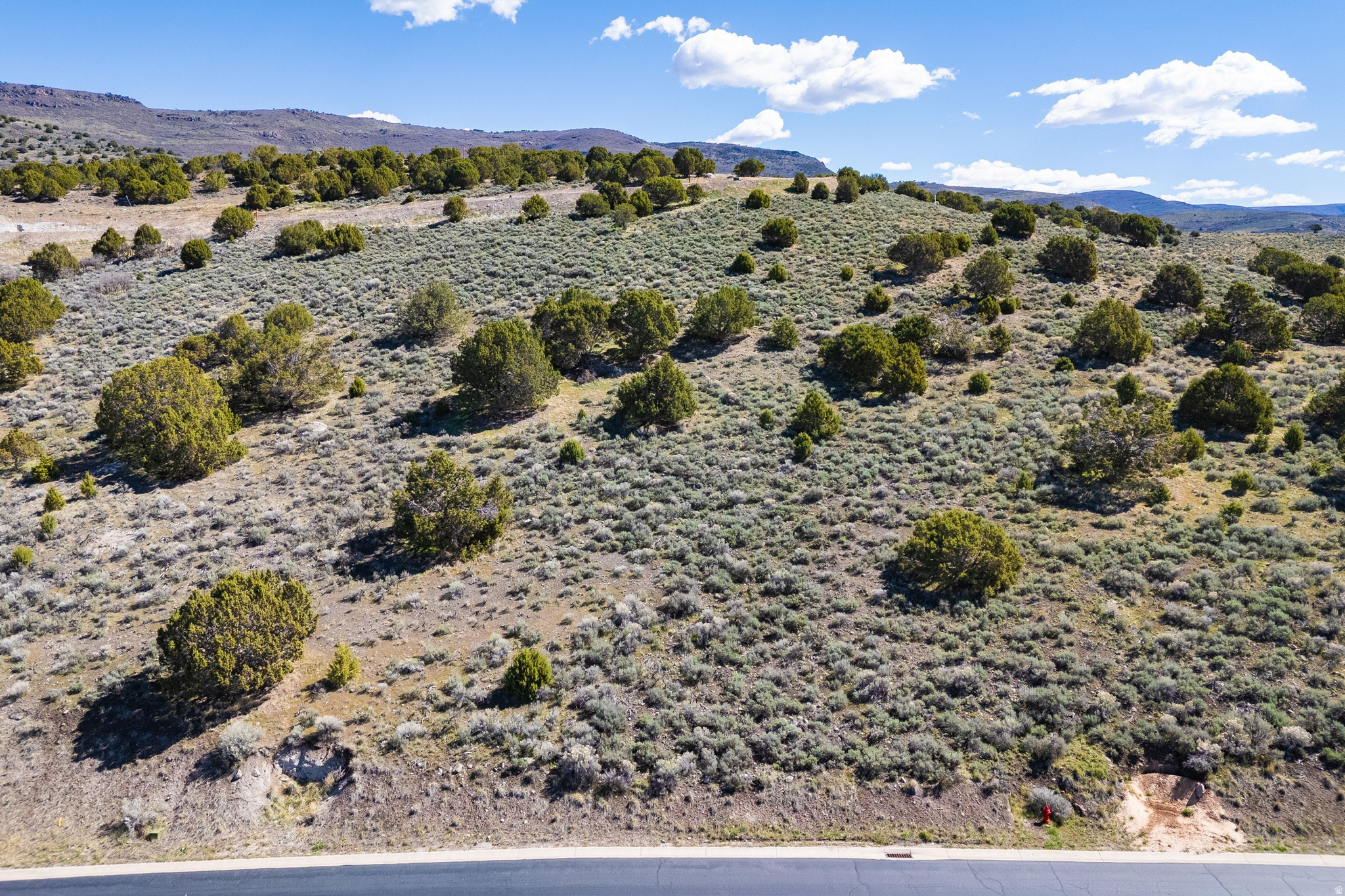 634 N IBAPAH PEAK DR (LOT 175) Unit: 175