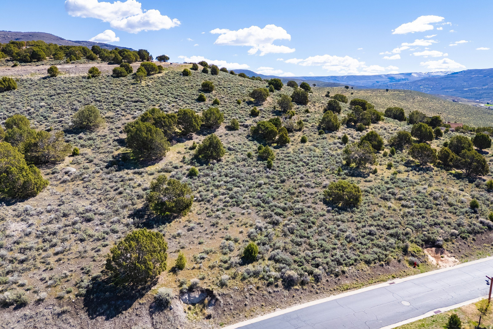 634 N IBAPAH PEAK DR (LOT 175) Unit: 175