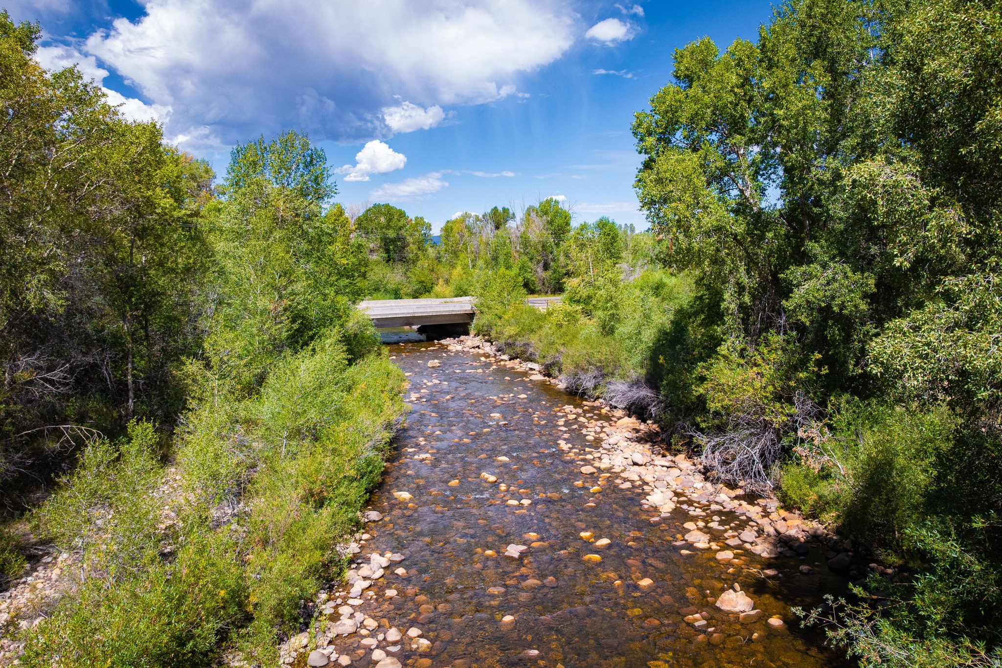 4347 S BENCH CREEK RD