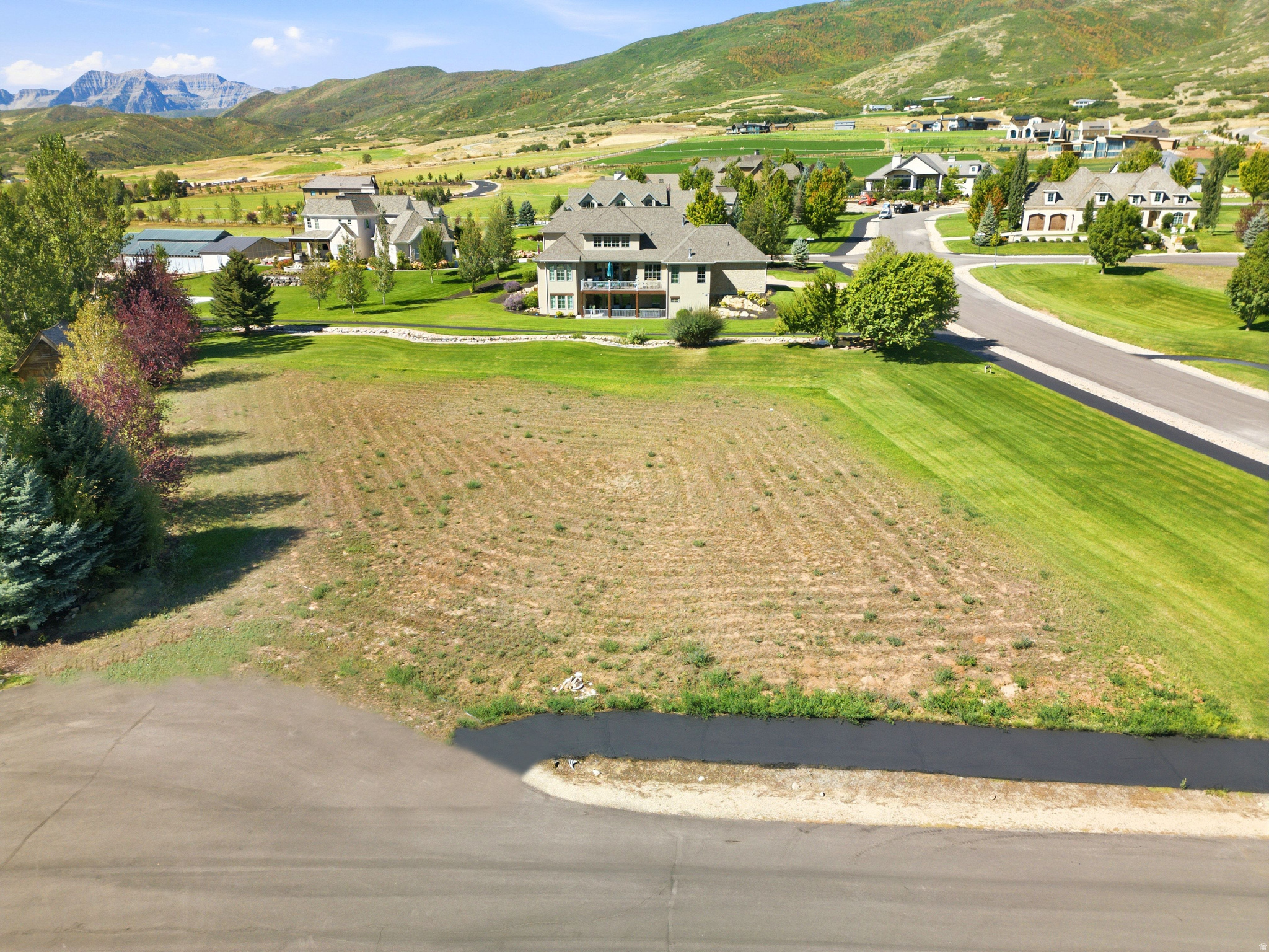 1040 S MONT BLANC CT