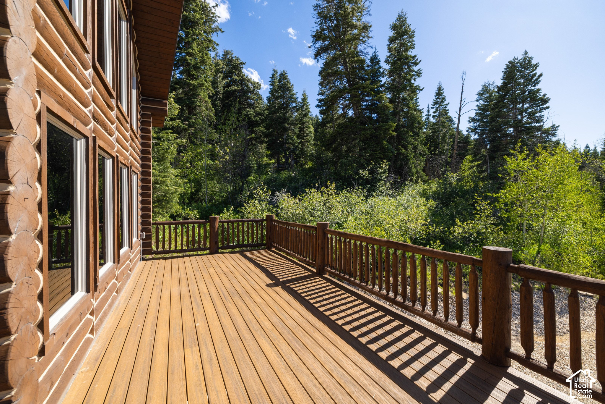 917 W DEEP FOREST RD