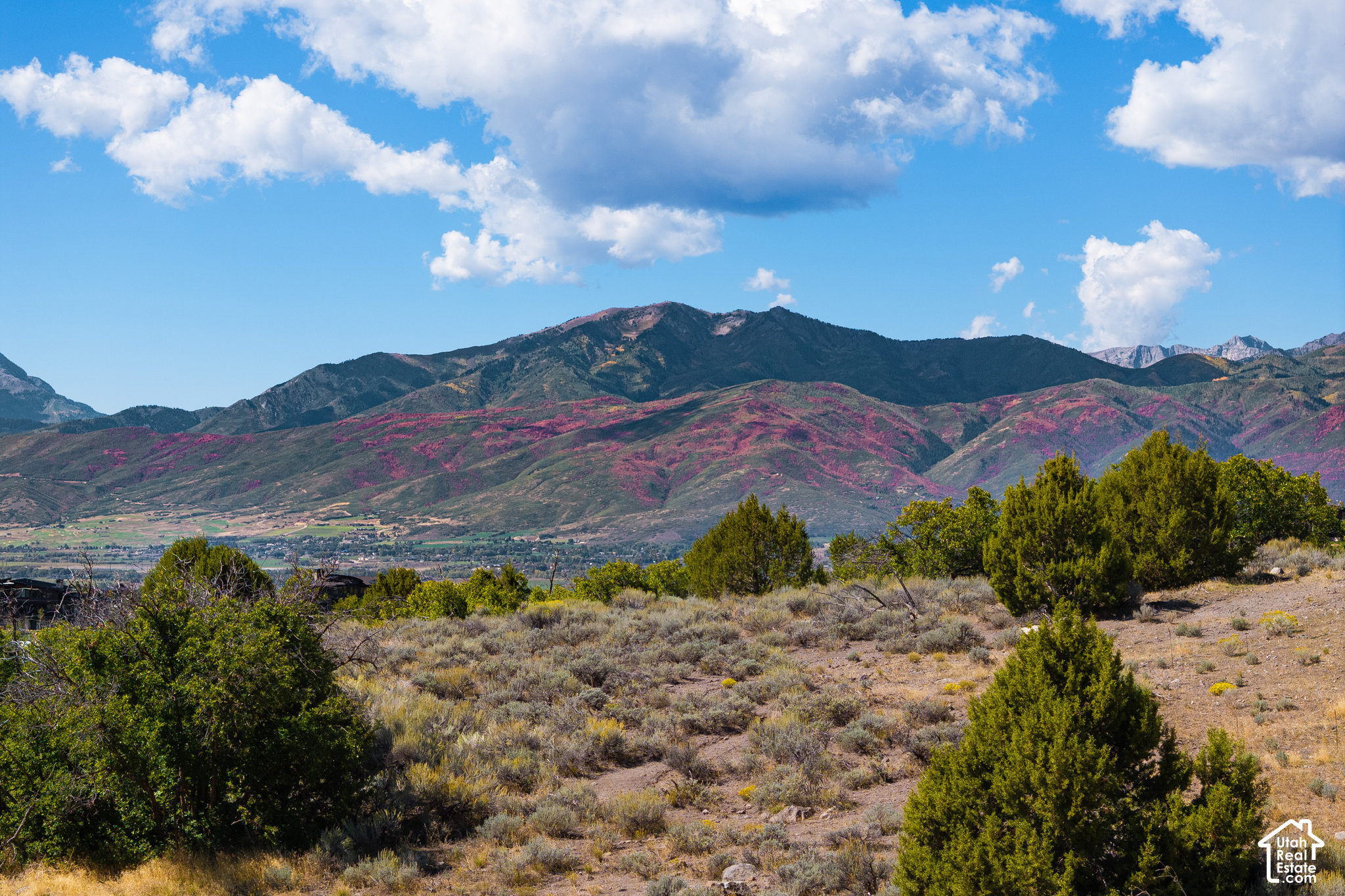 1381 N MONROE PEAK Unit: 629