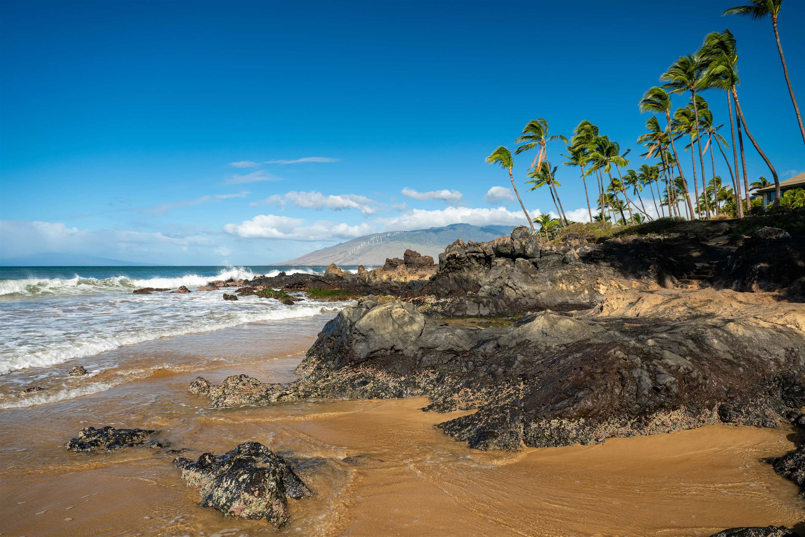 Sandy beach with volcanic rocks, waves, tall palms, and a distant mountain.