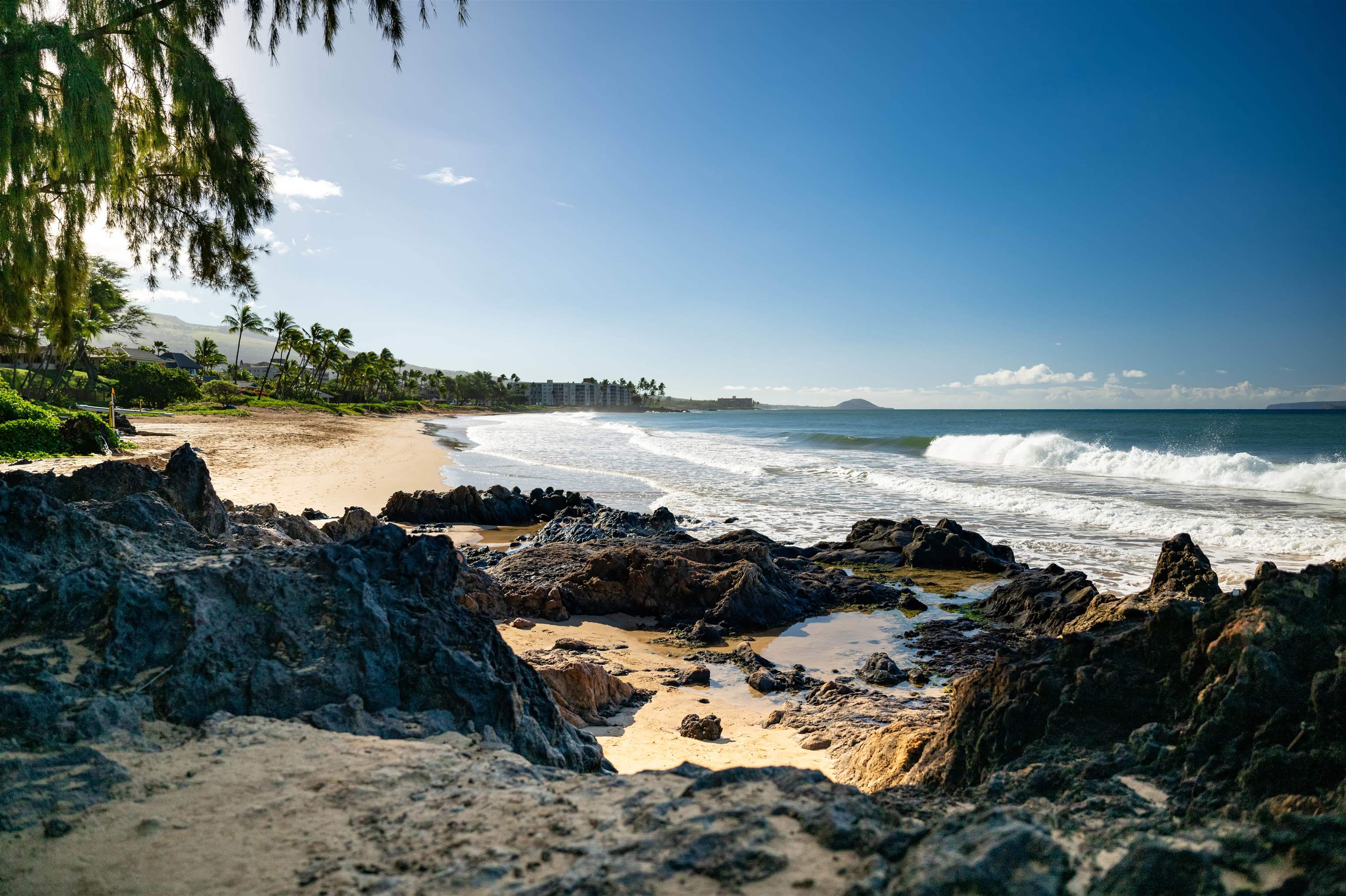 Sandy beach and ocean waves beyond dark rocky tide pools, with palms along the distant shore.