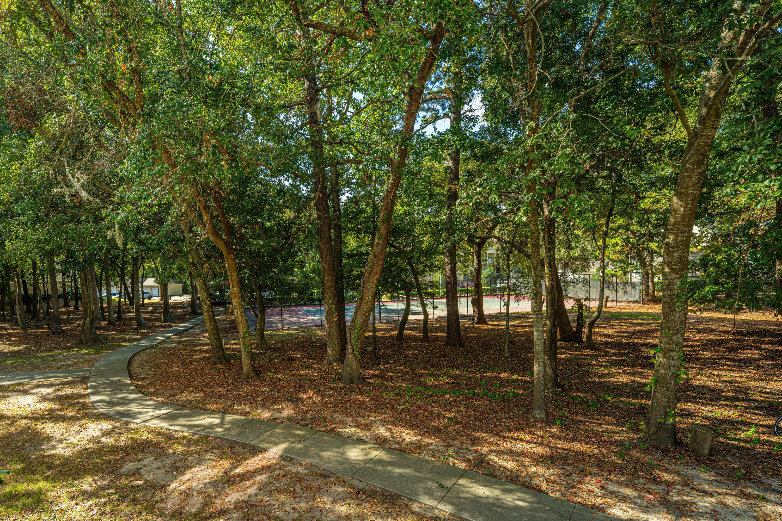 700 Daniel Ellis Drive # 5102