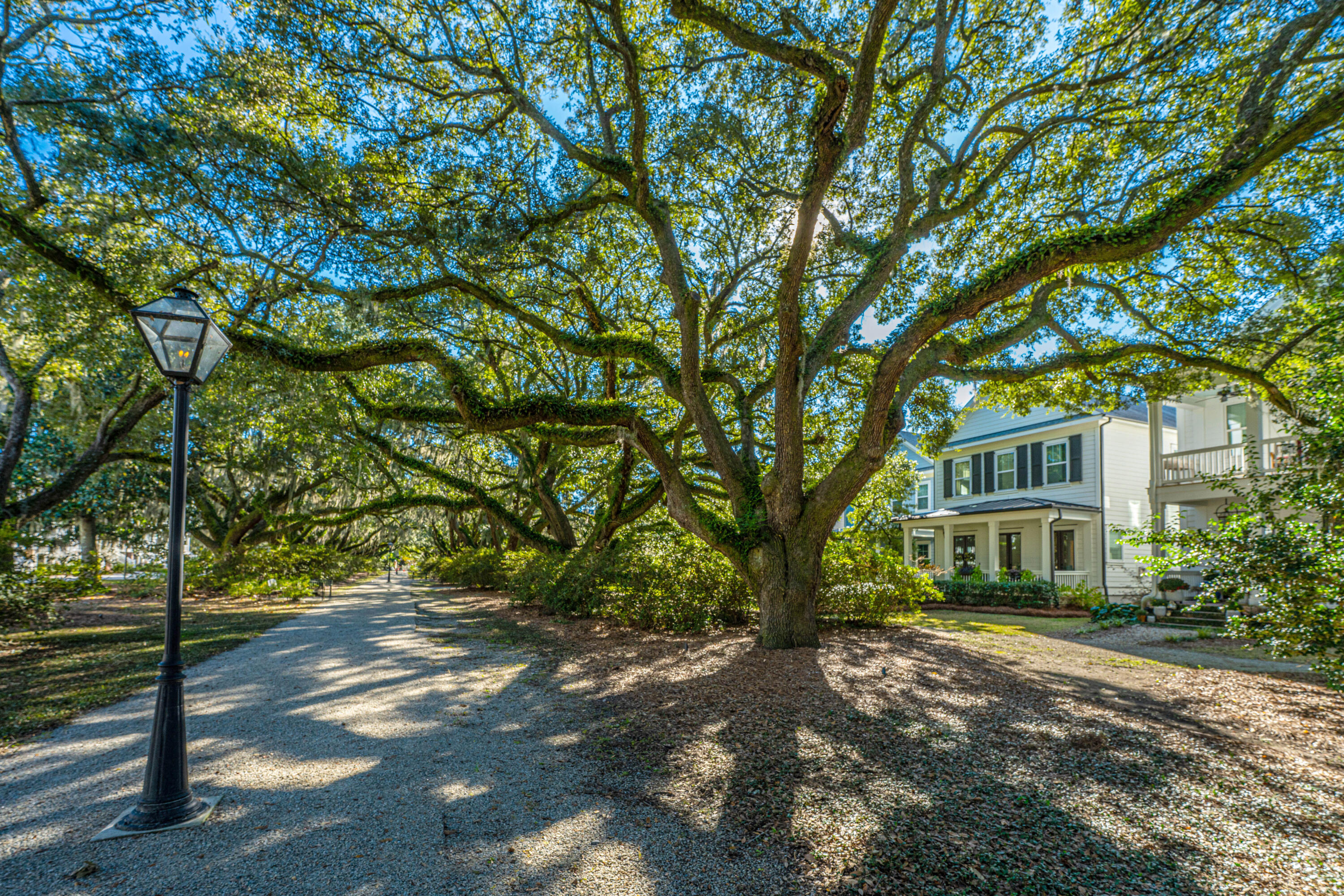 1054 Avenue Of Oaks