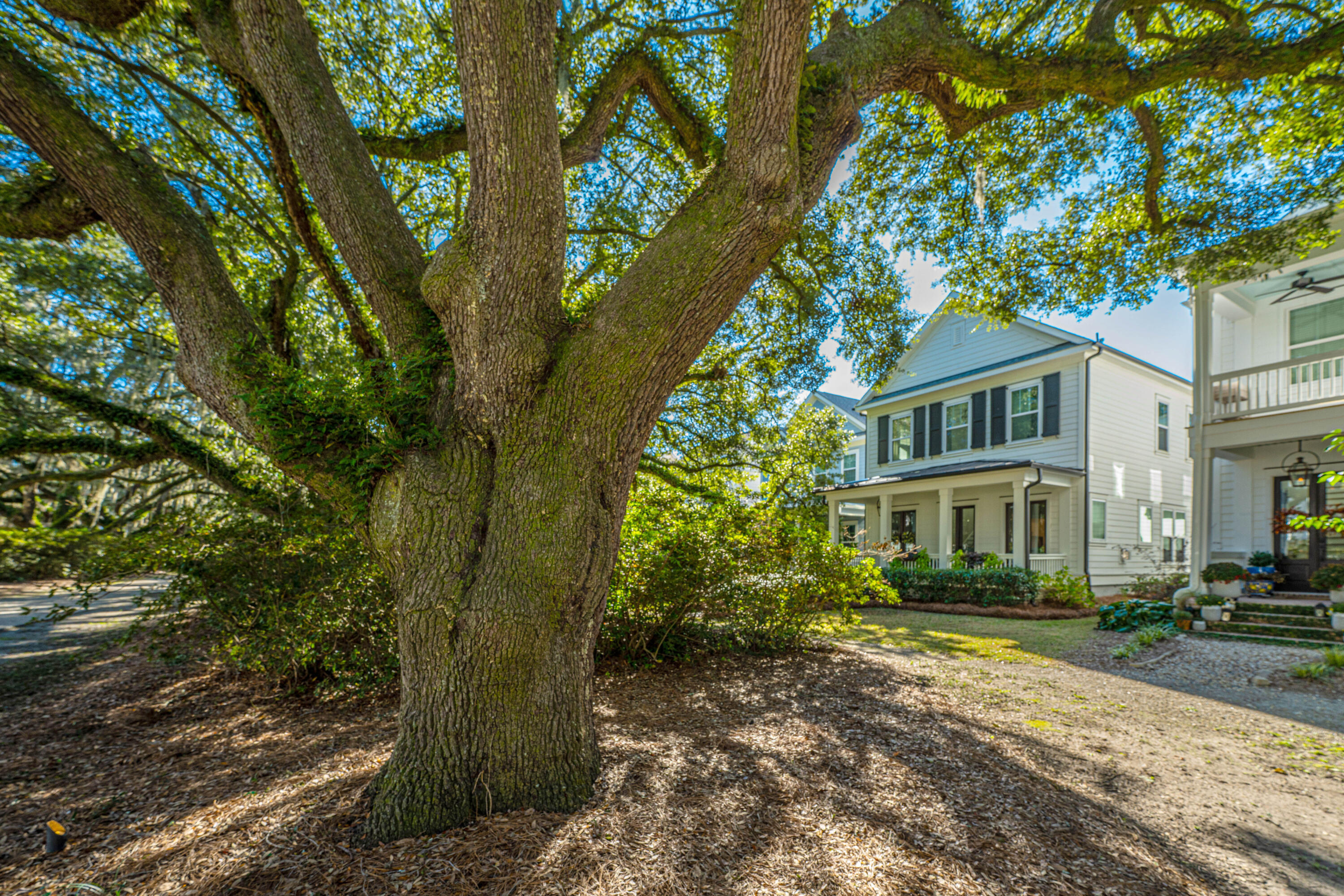 1054 Avenue Of Oaks