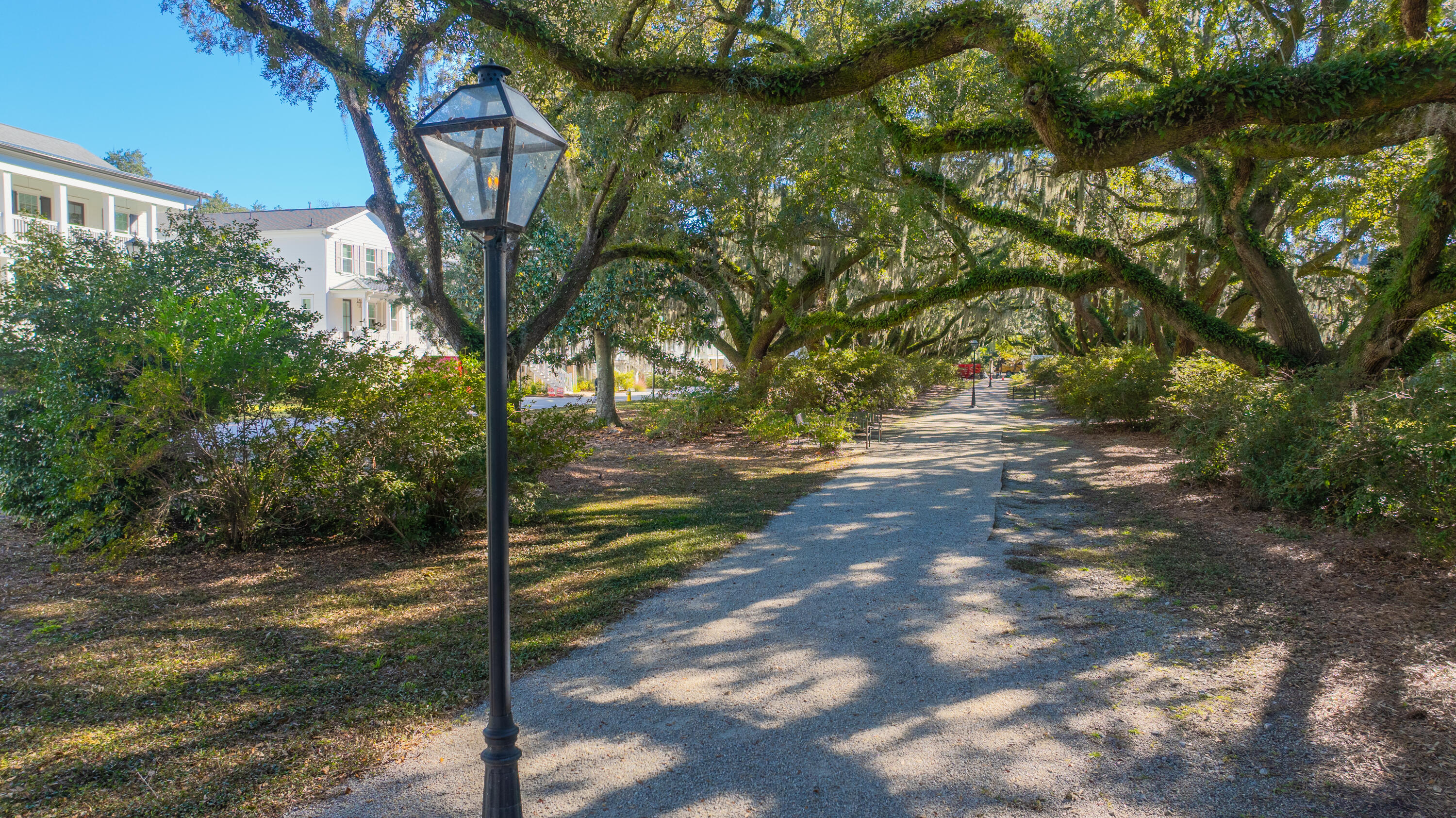 1054 Avenue Of Oaks