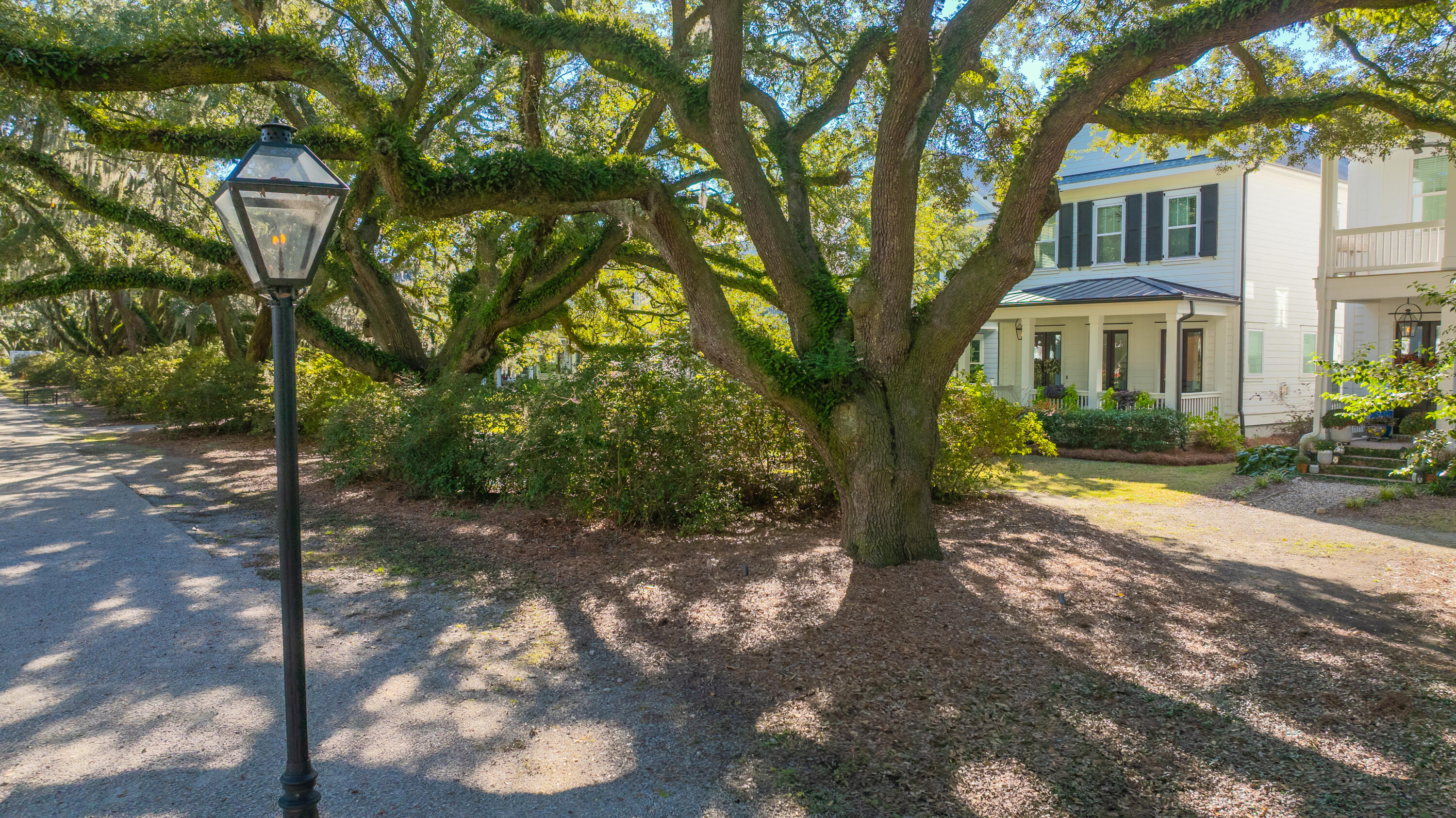 1054 Avenue Of Oaks