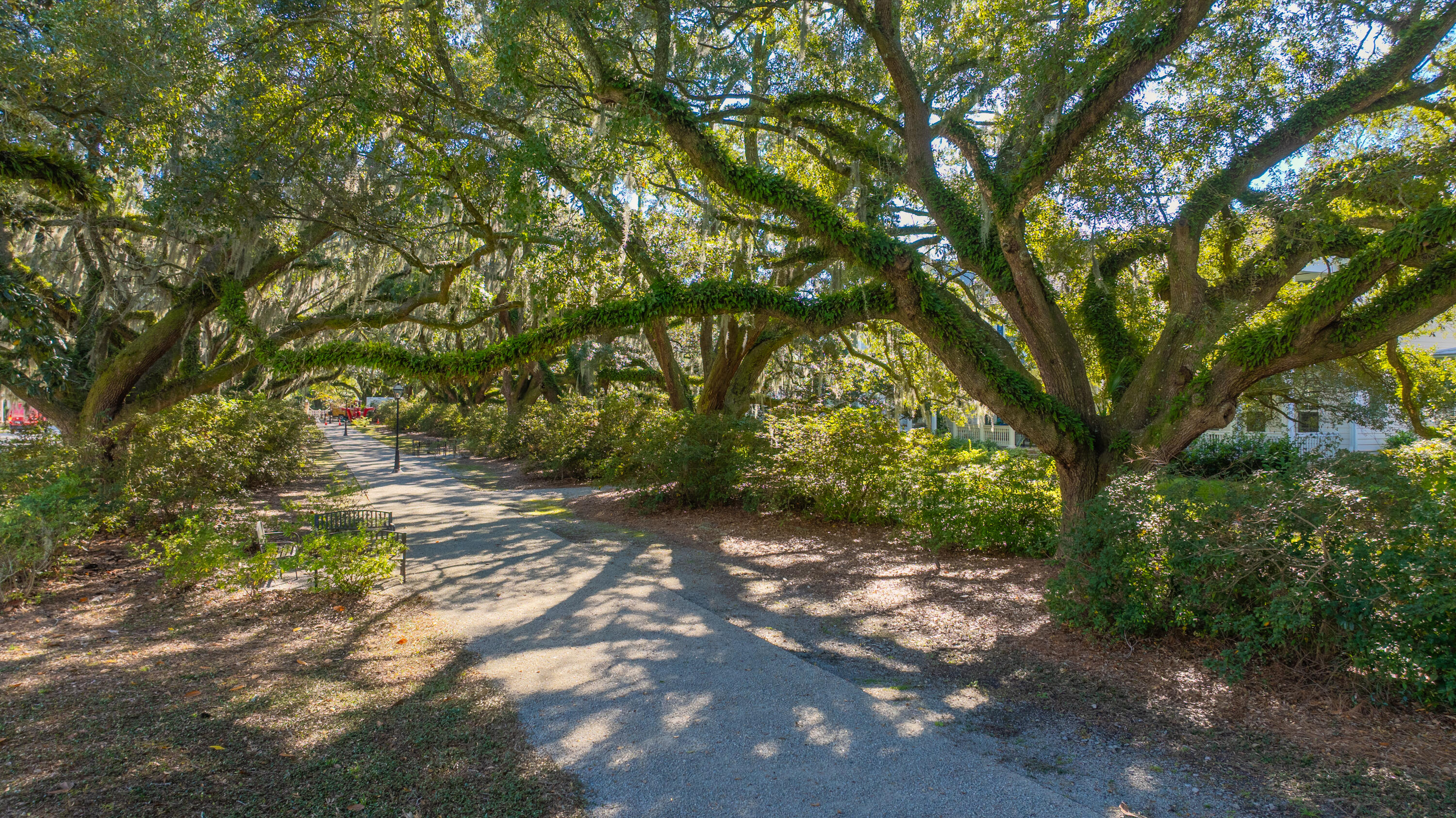 1054 Avenue Of Oaks