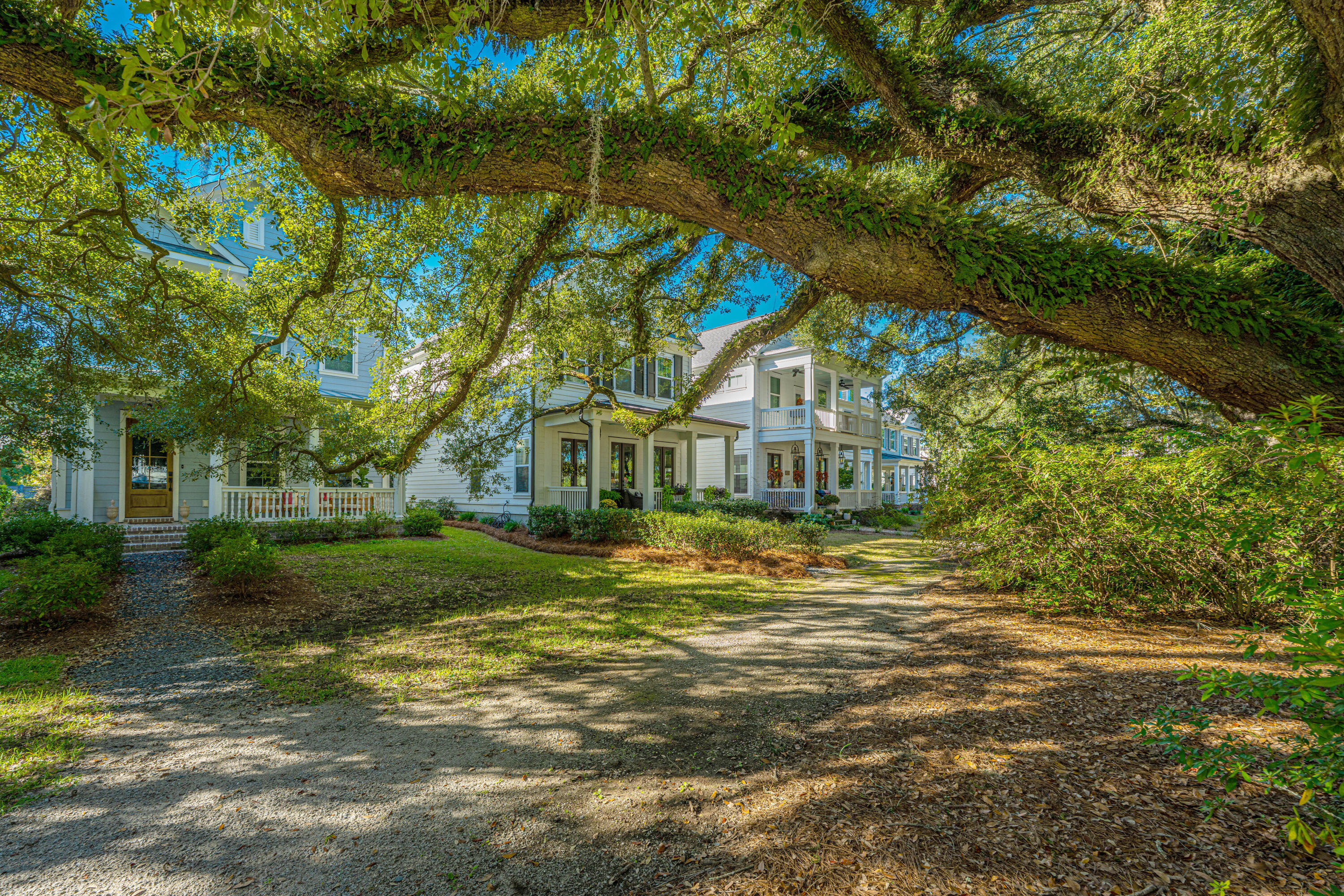 1054 Avenue Of Oaks