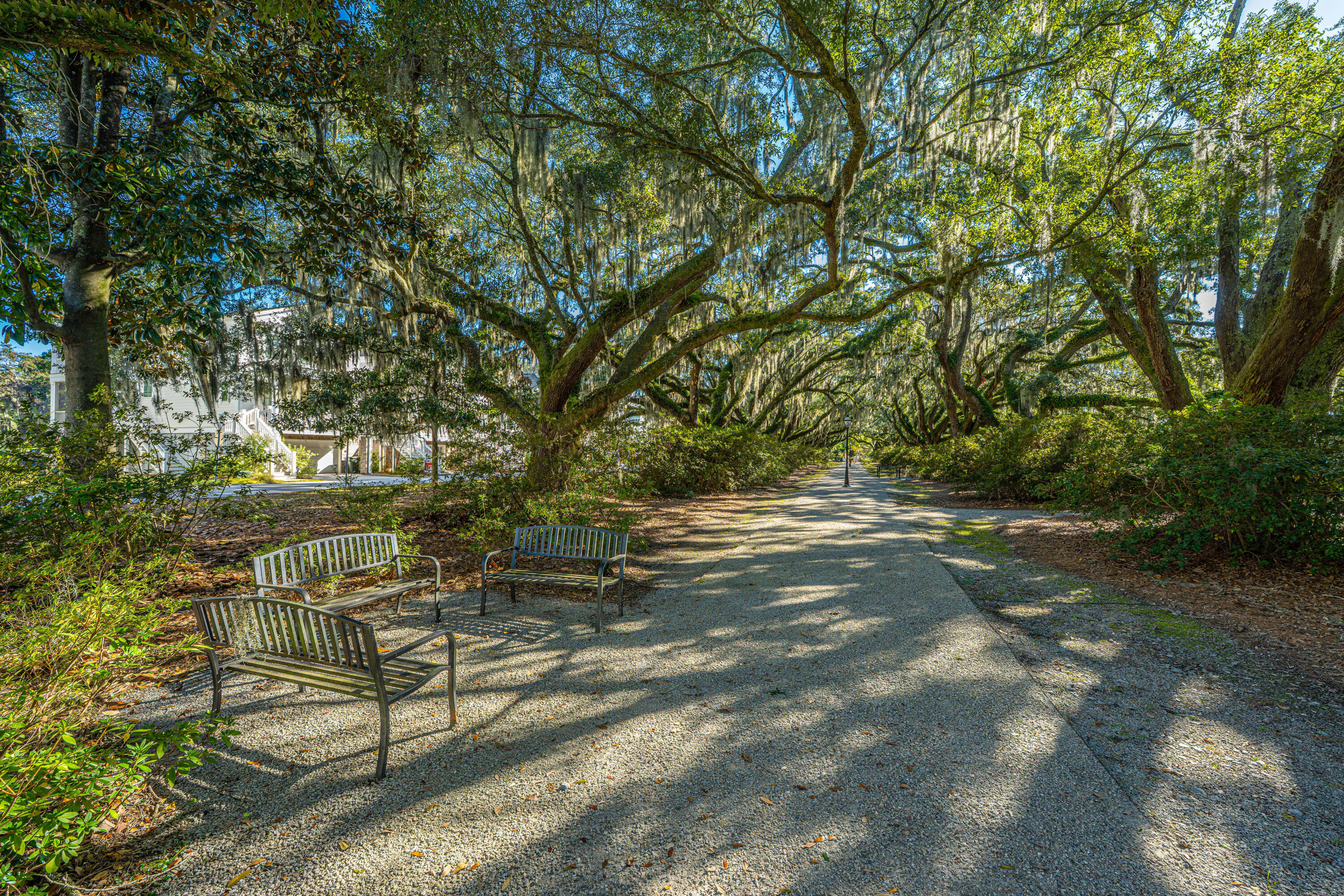 1054 Avenue Of Oaks