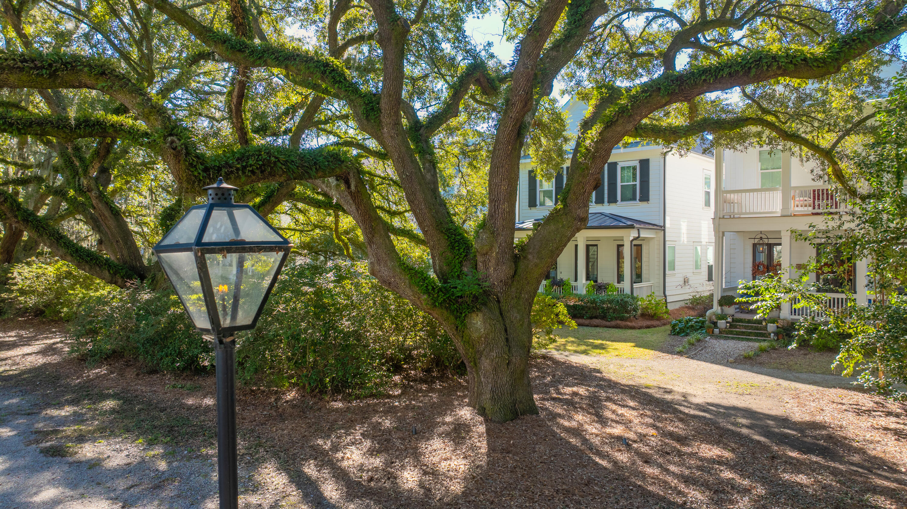 1054 Avenue Of Oaks