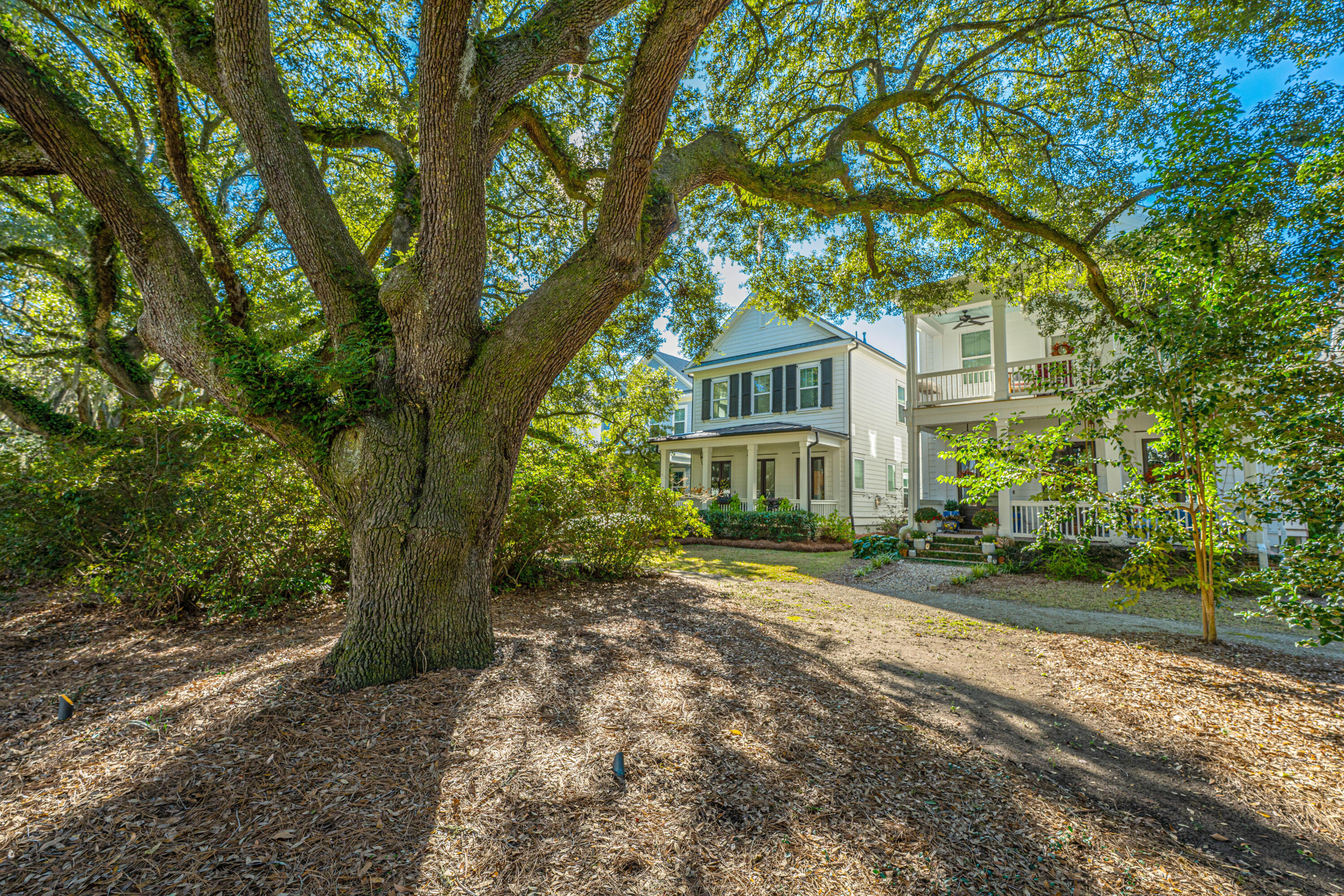 1054 Avenue Of Oaks