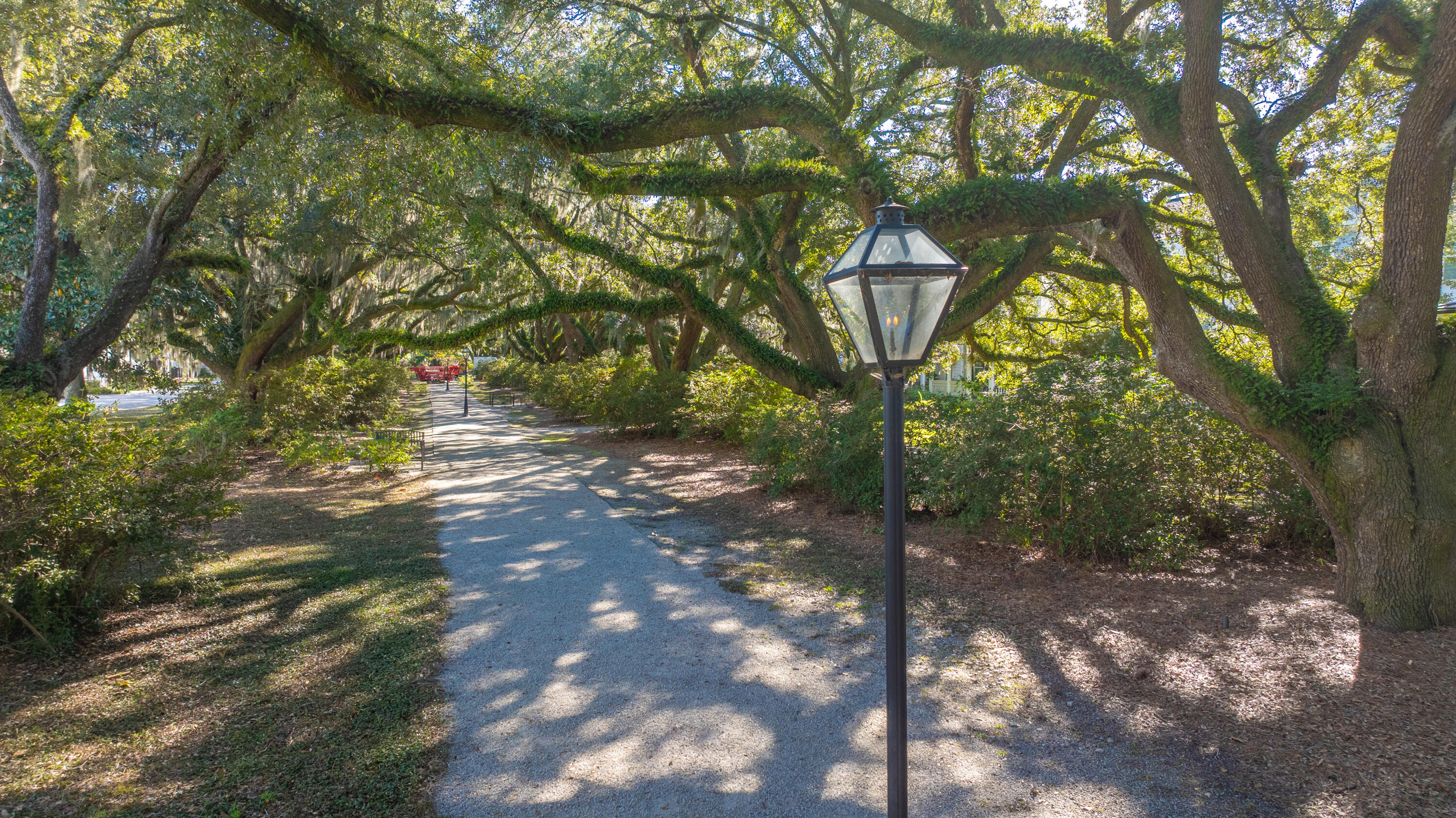 1054 Avenue Of Oaks