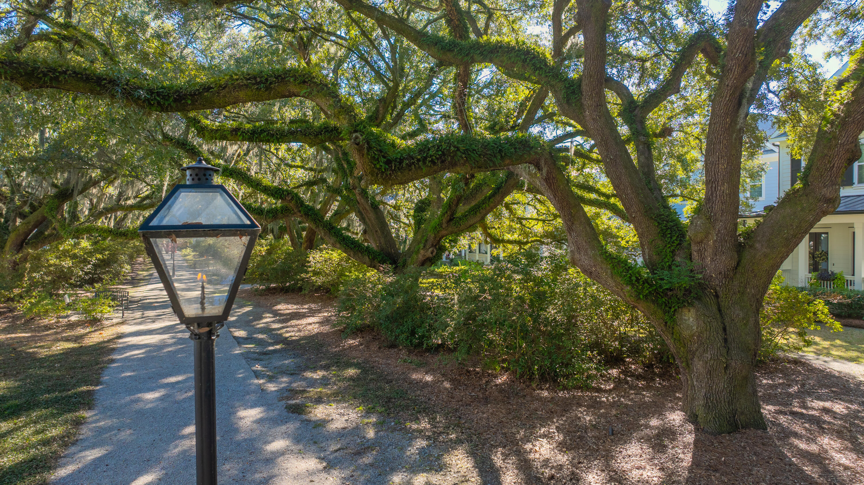 1054 Avenue Of Oaks