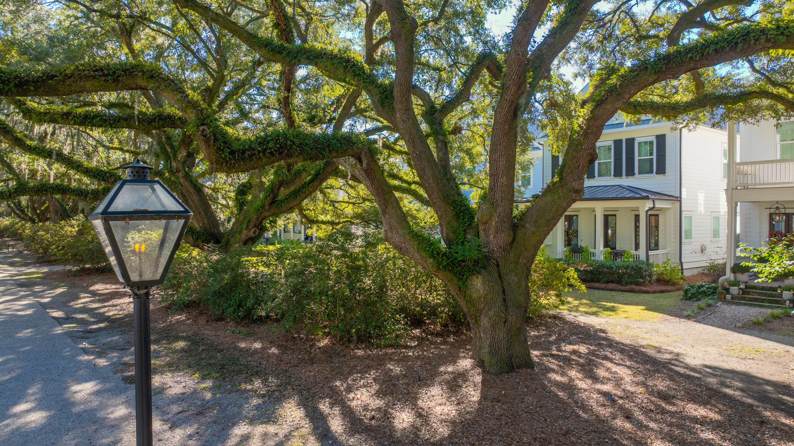 1054 Avenue Of Oaks