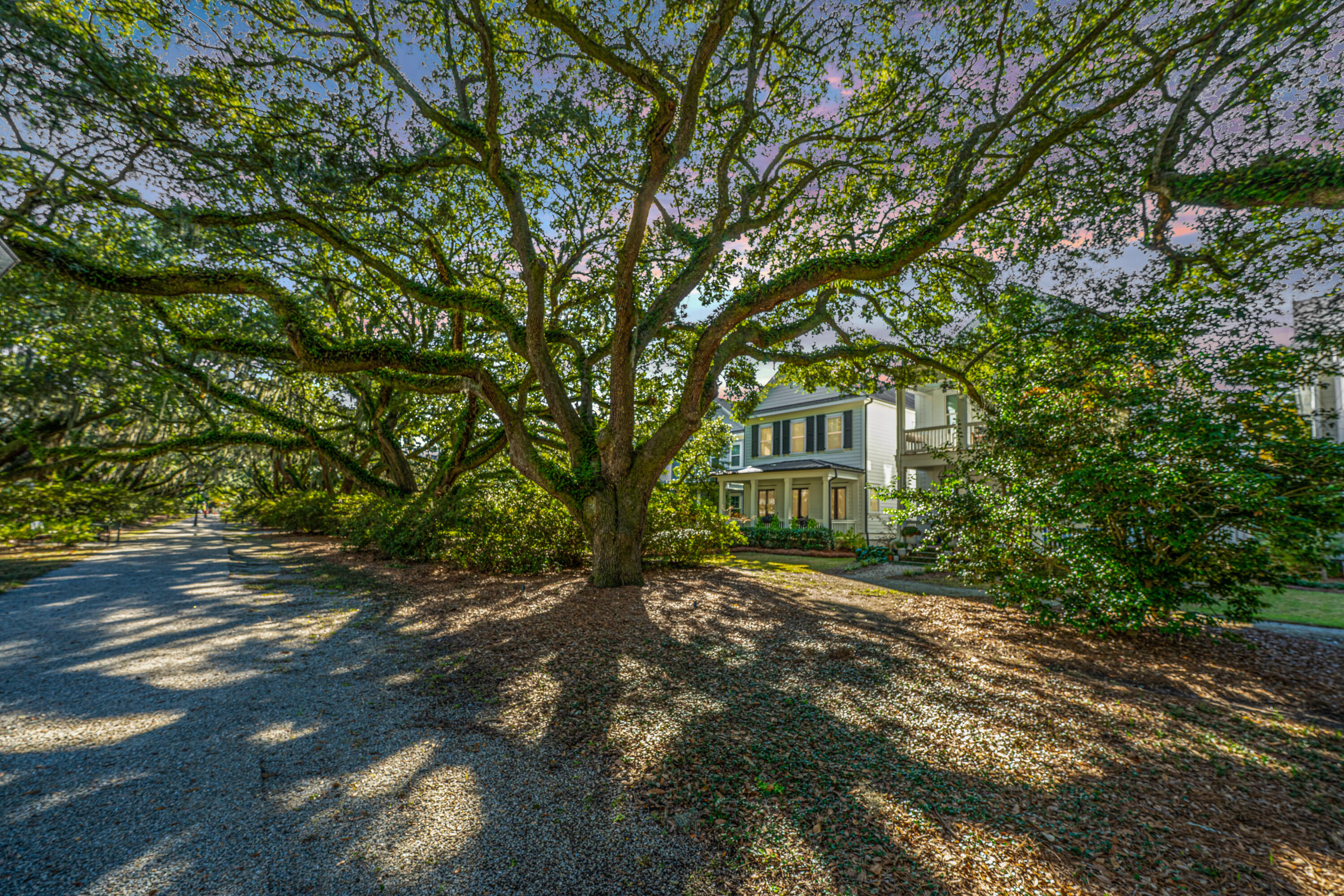 1054 Avenue Of Oaks