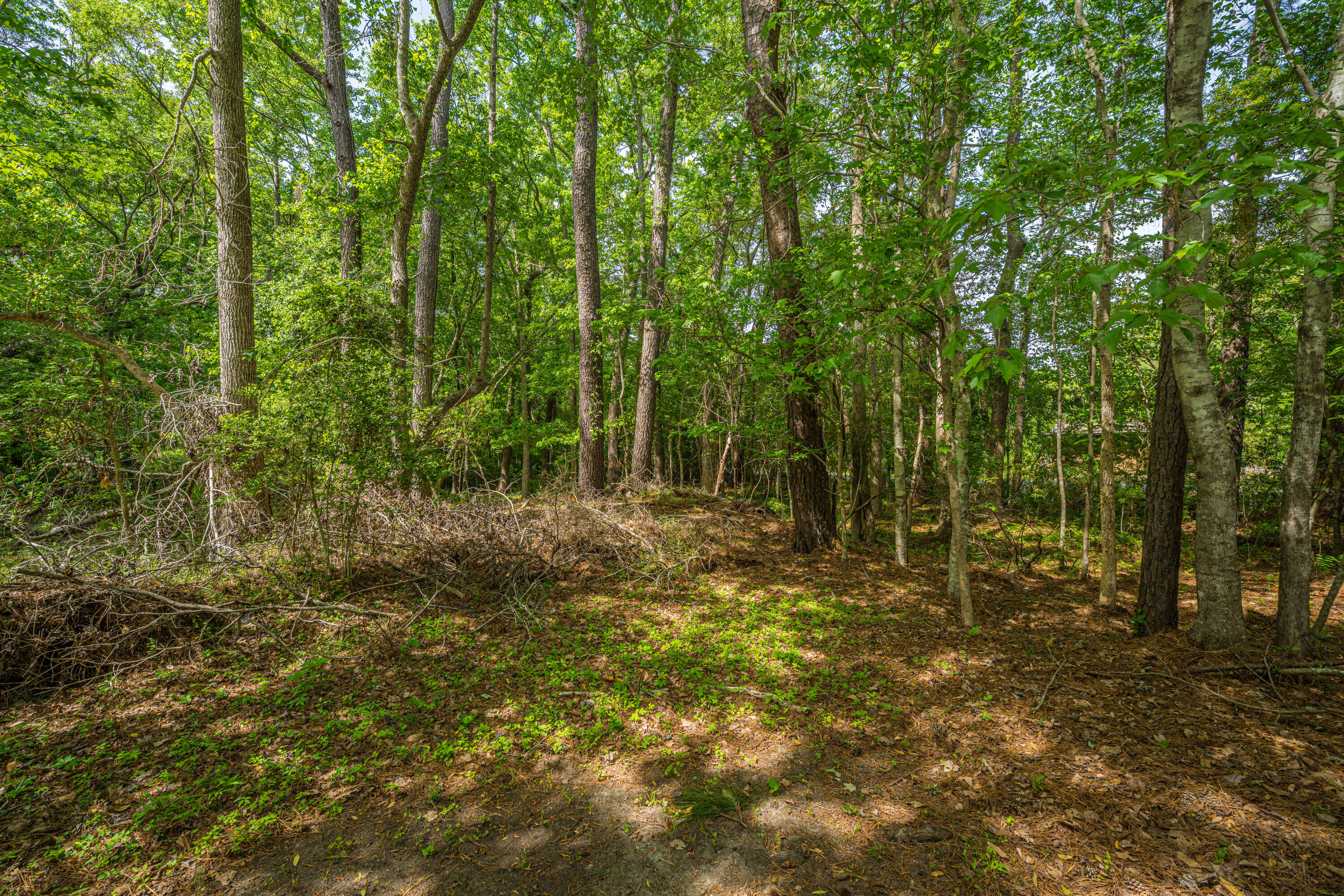6037 Chisolm Road