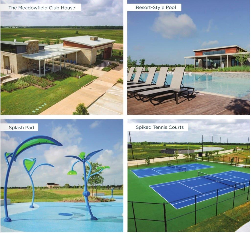 31207 White Cypress Lane Lane