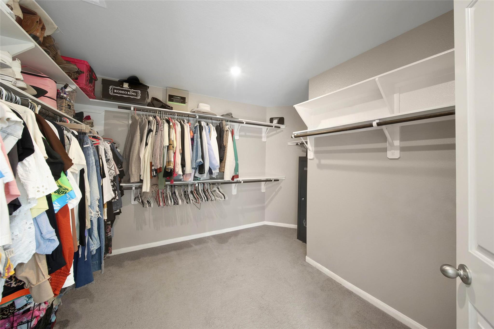 31207 White Cypress Lane Lane