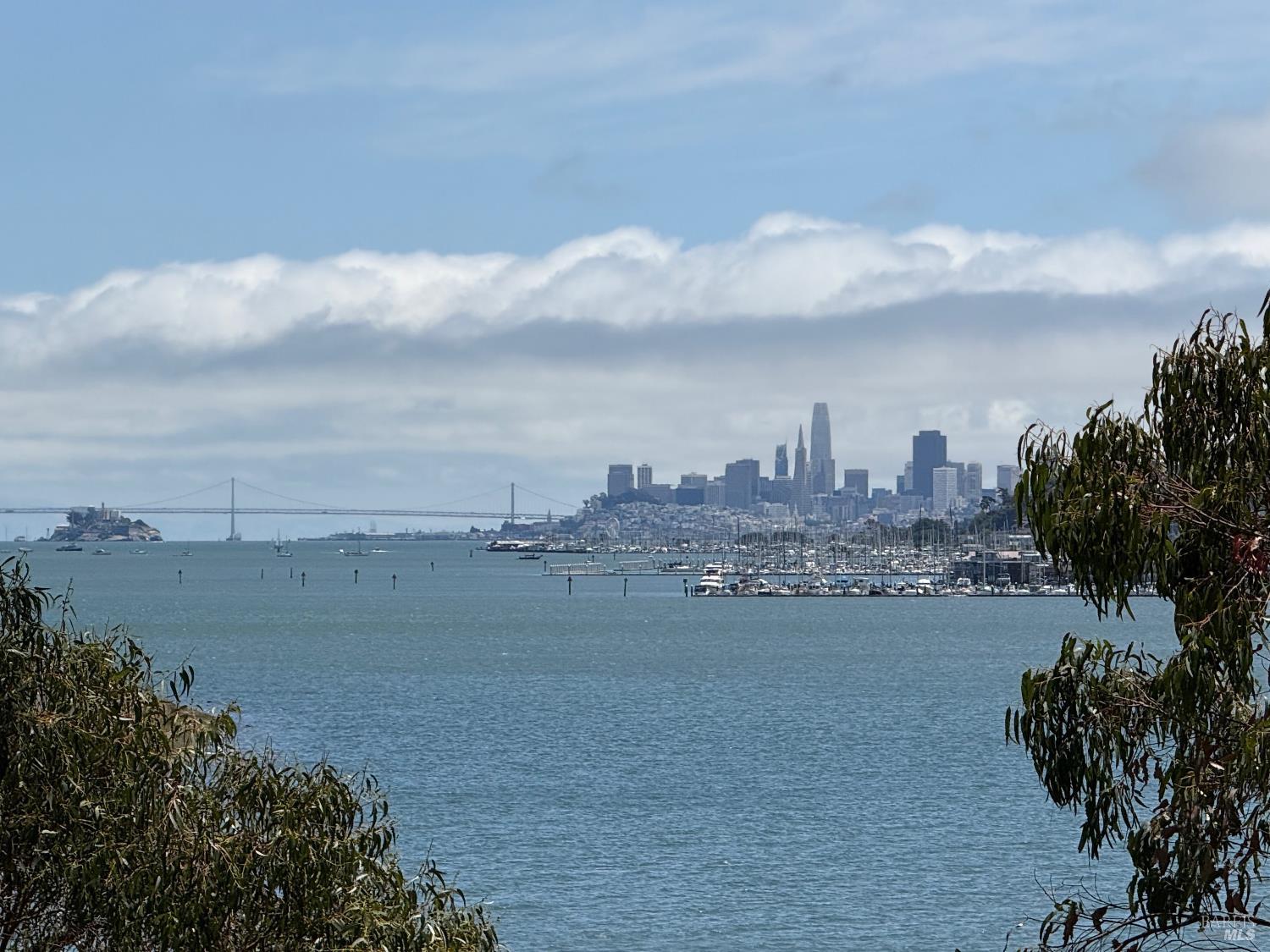 44 De Silva Island Drive