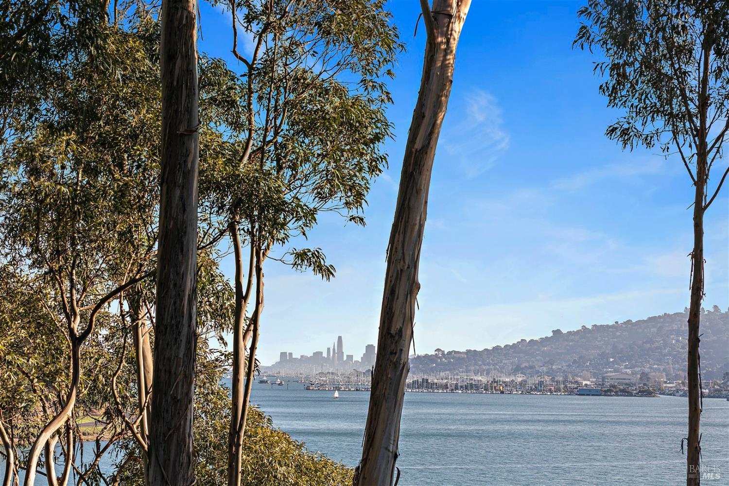 44 De Silva Island Drive