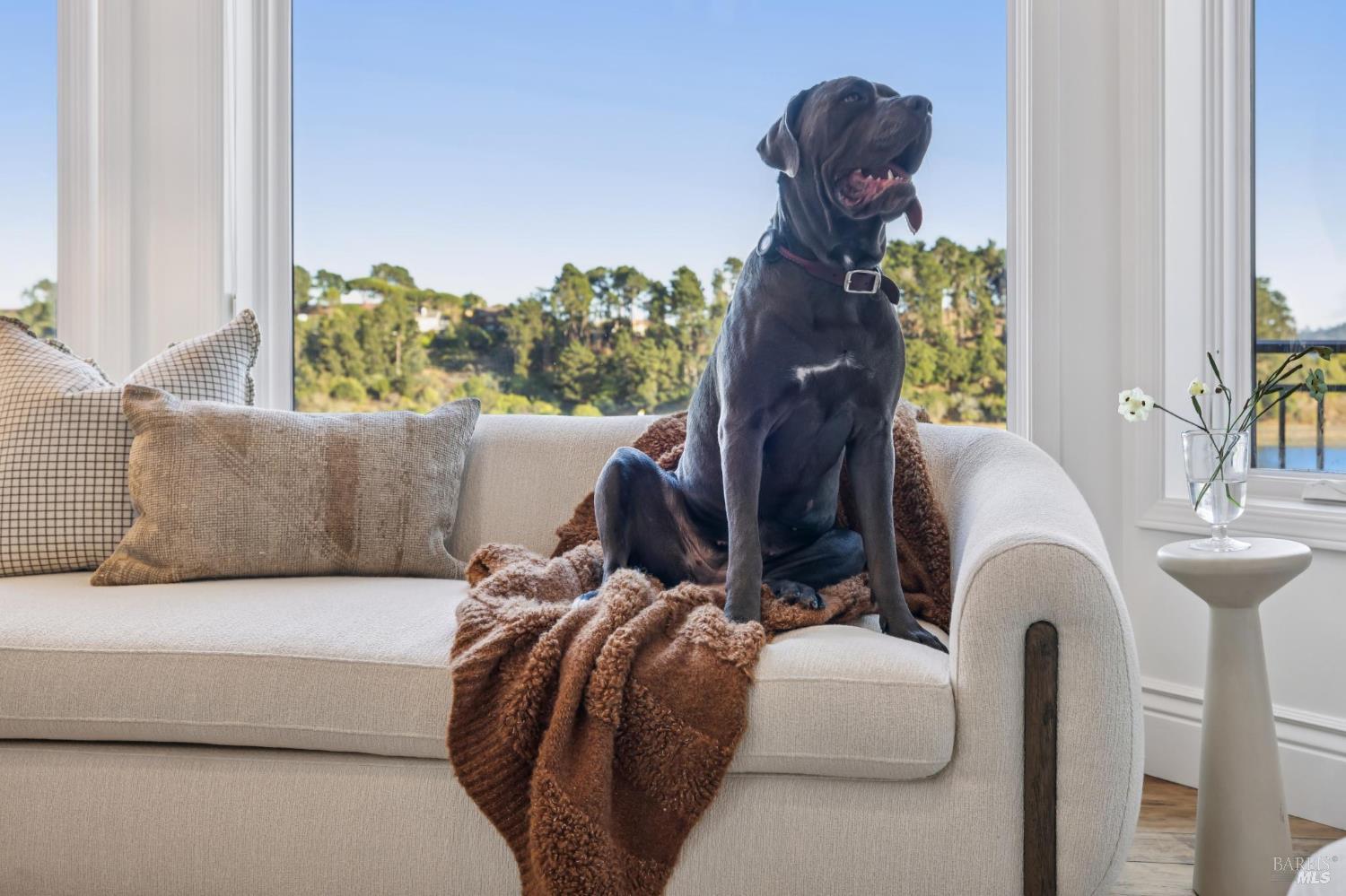 84 De Silva Island Drive